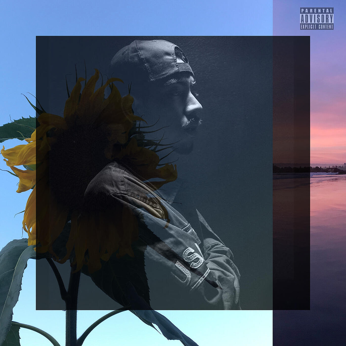 California Jesus - Scam Likely