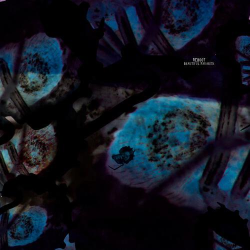 Reboot - Beautiful Parasite (Robert Dietz Infected Mix)