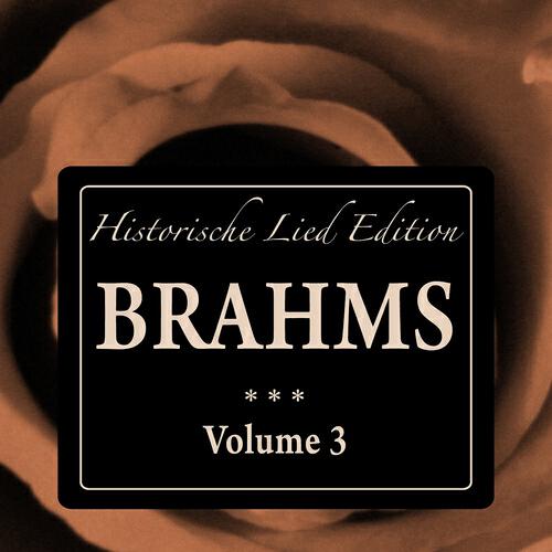 Heinrich Rehkemper - Neun Lieder und Gesänge, Op. 32: No. 2, Nicht mehr zu dir zu gehen