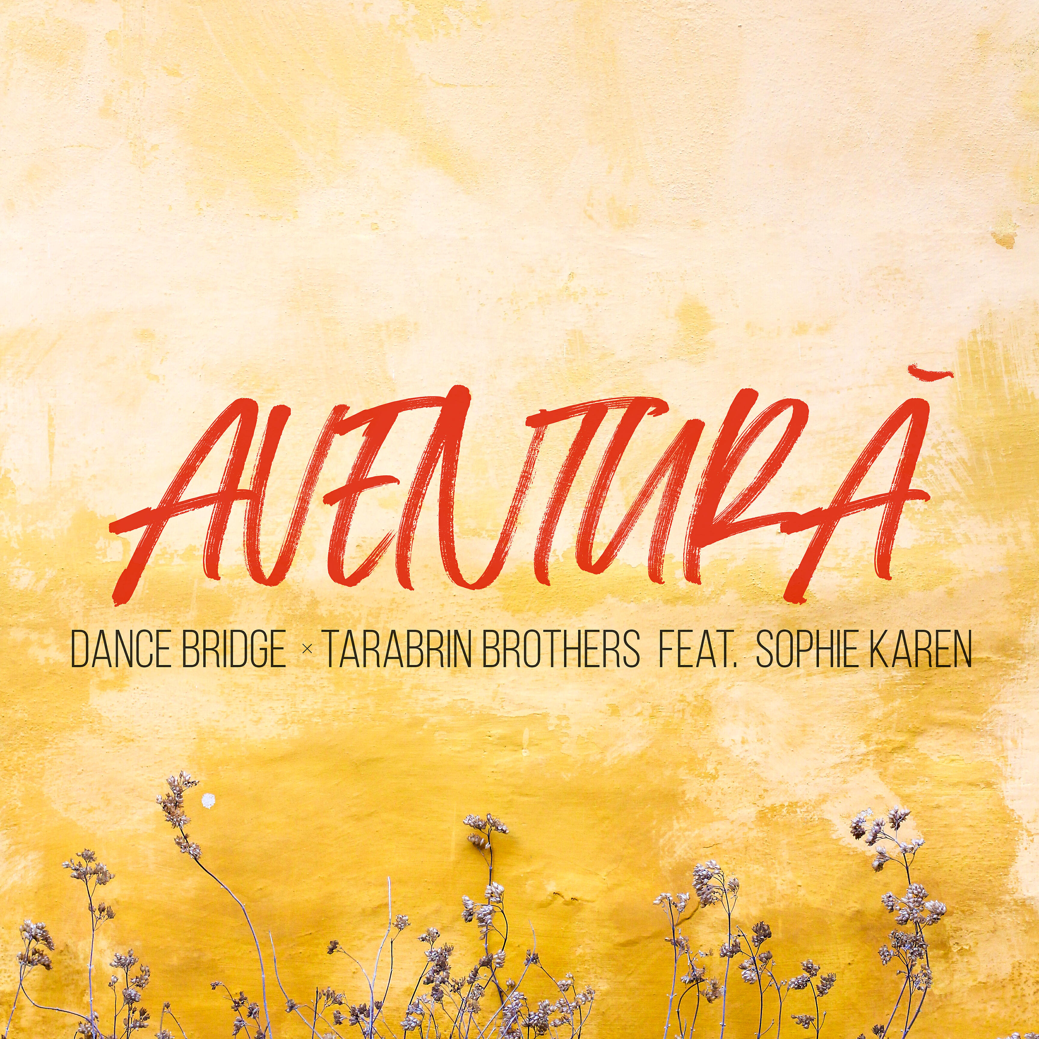 Dance Bridge - Aventură