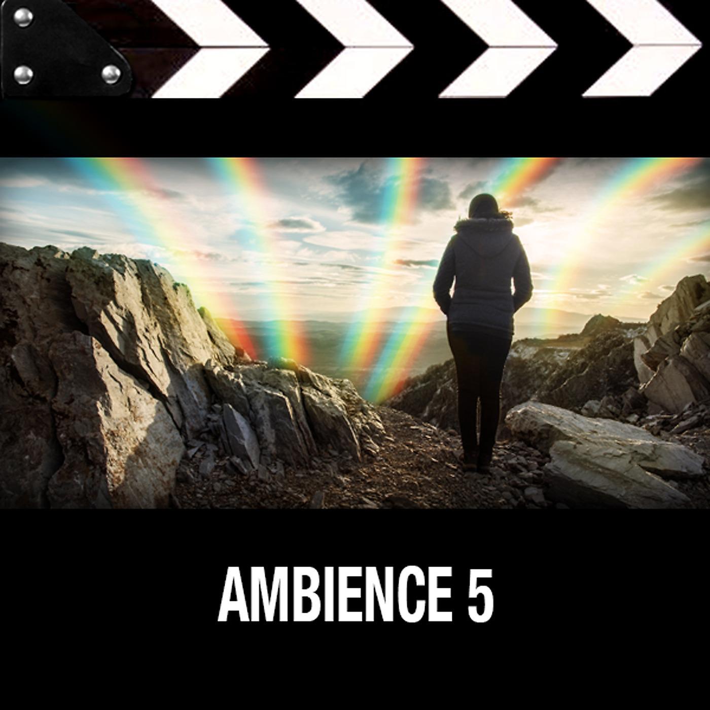 Постер альбома Ambience 5