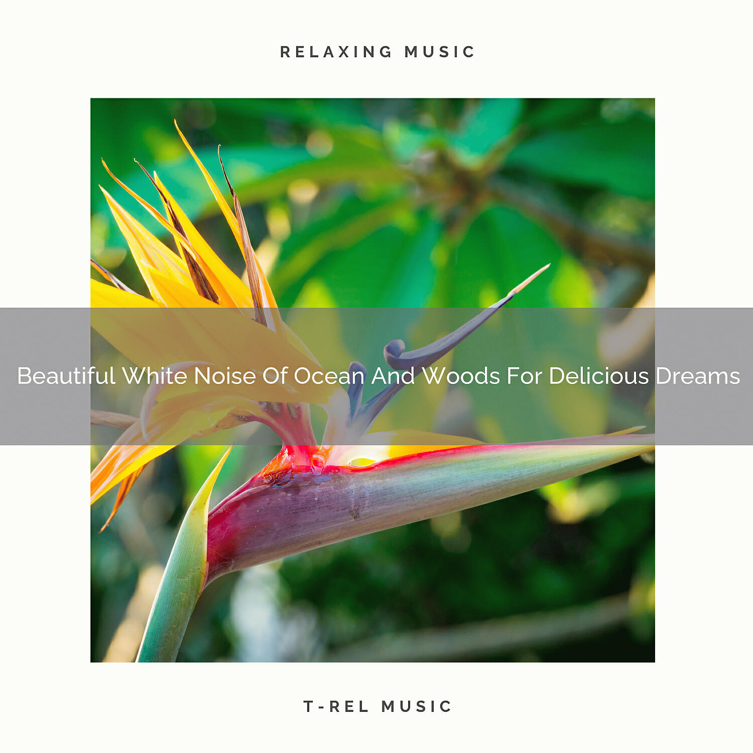 White Noise Spa - Beautiful Noises Of Wind And Mother Earth For Instant Dreams
