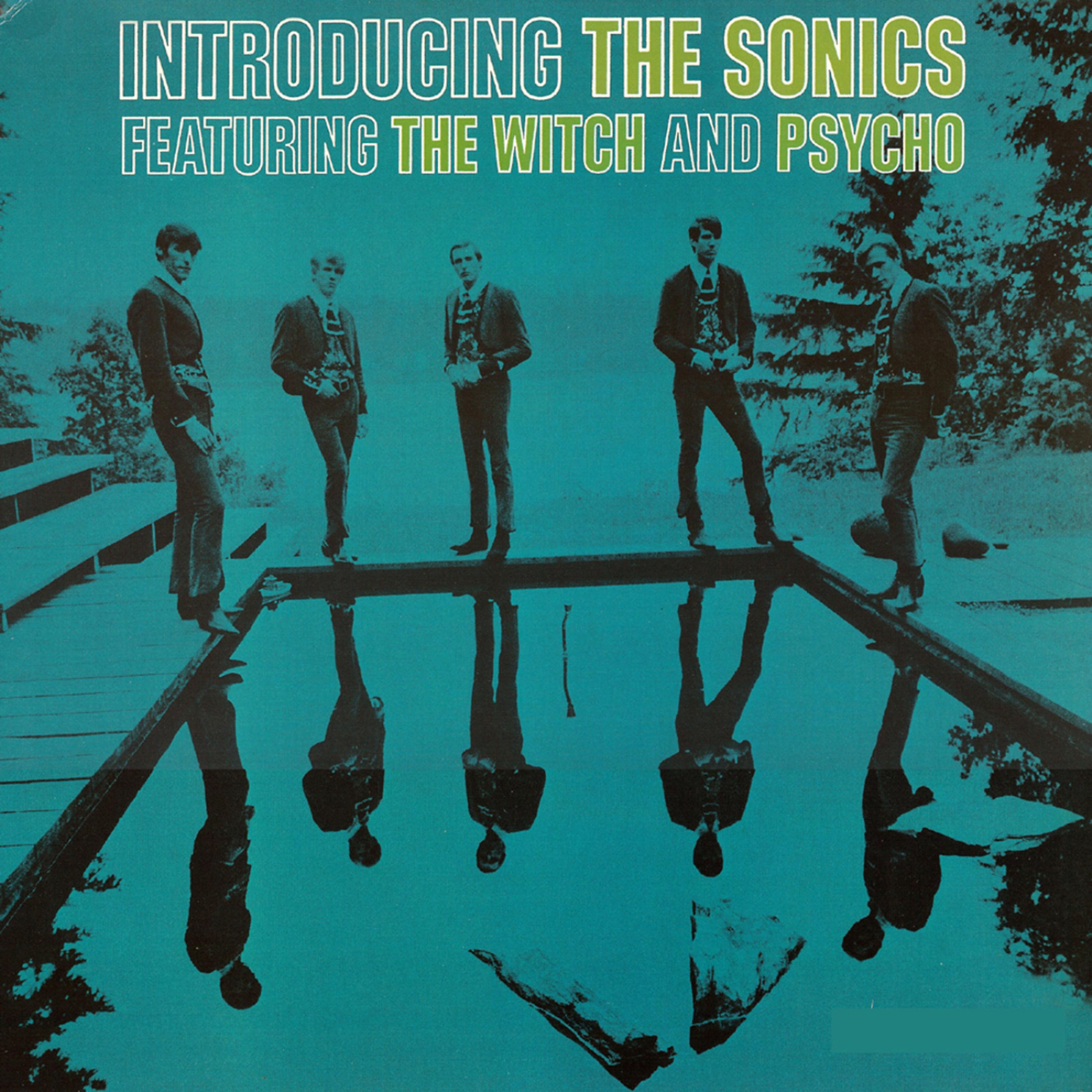 Постер альбома Introducing The Sonics