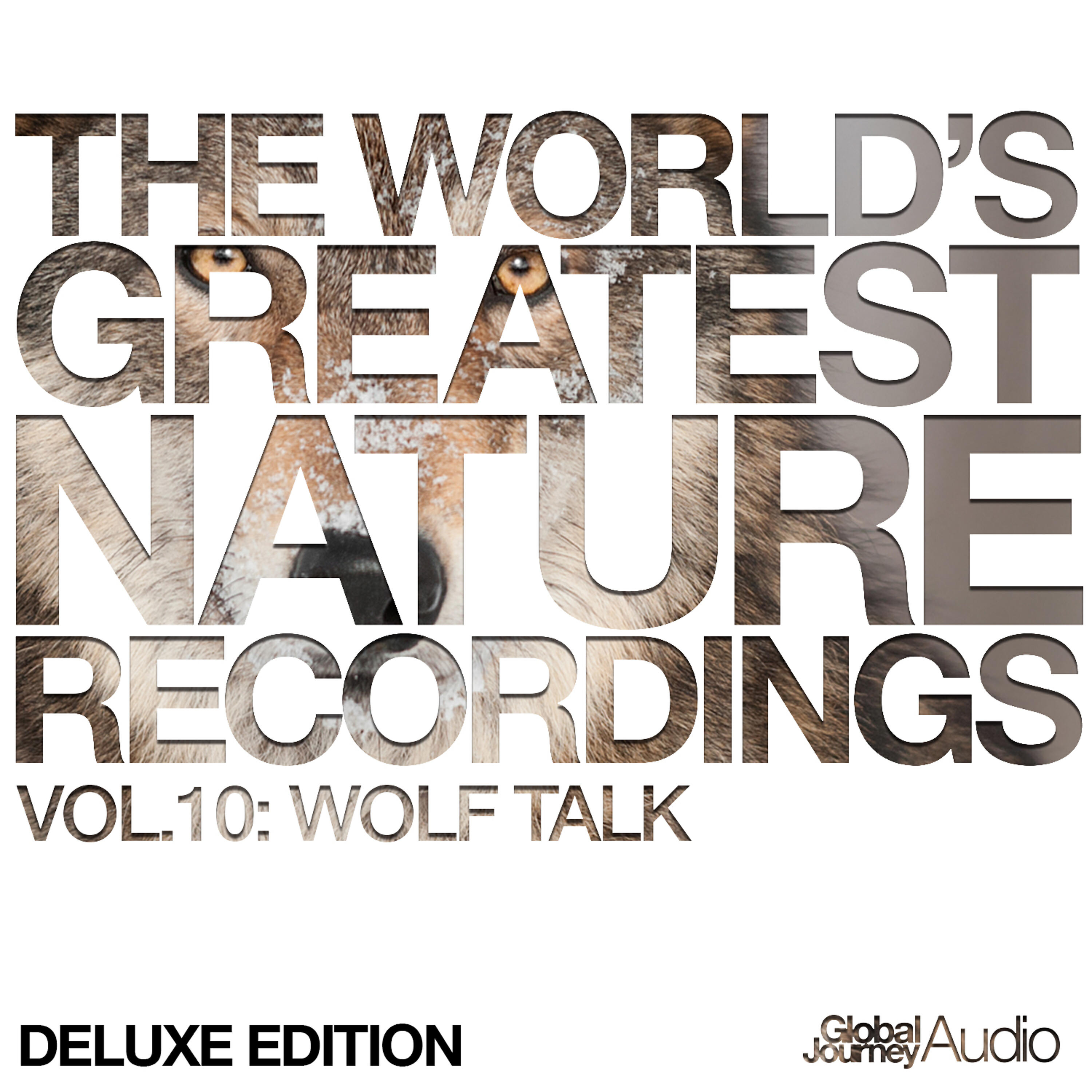 Global Journey - Wilderness Anthem (Nature Recording of Wolves)