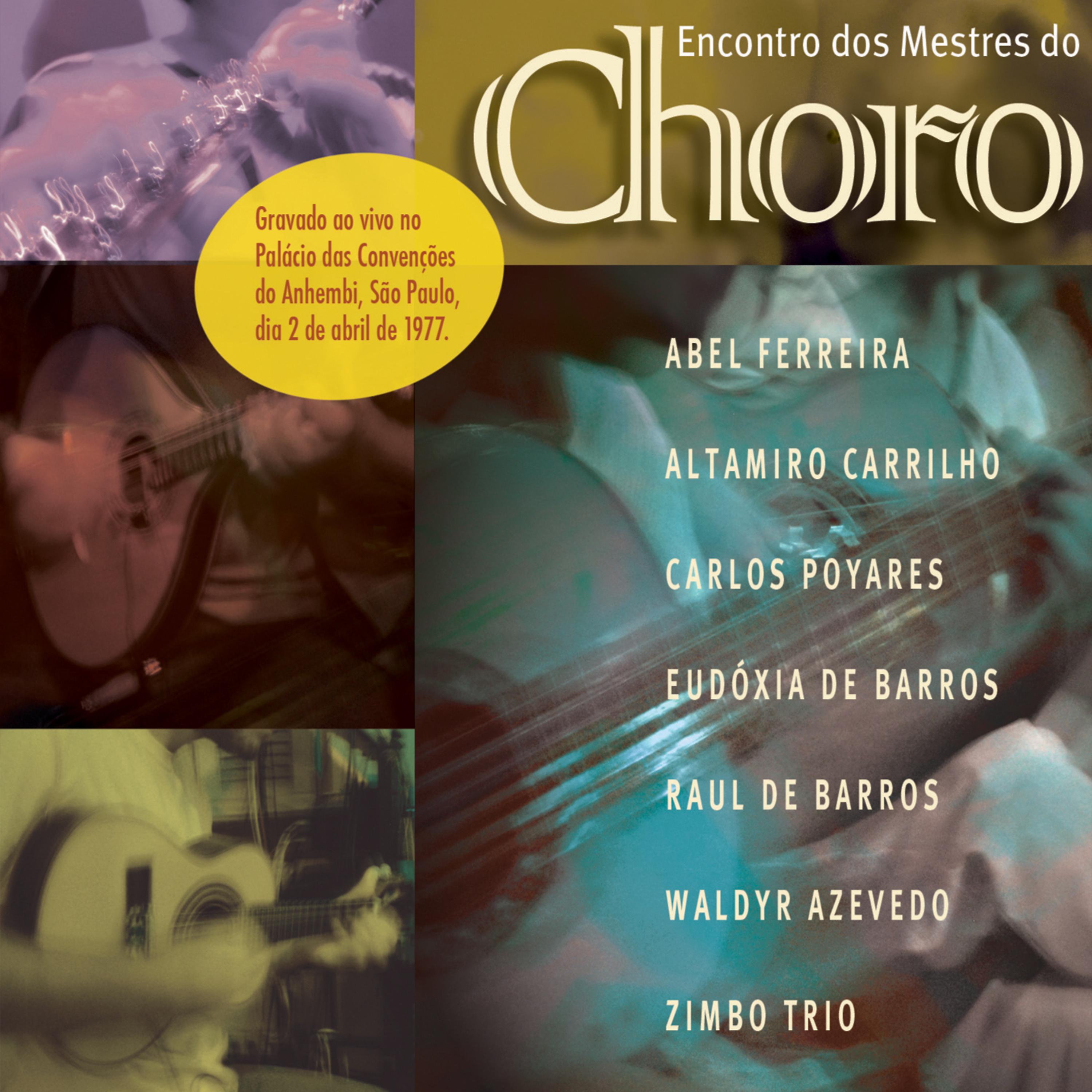 Постер альбома Encontro Dos Mestres do Choro