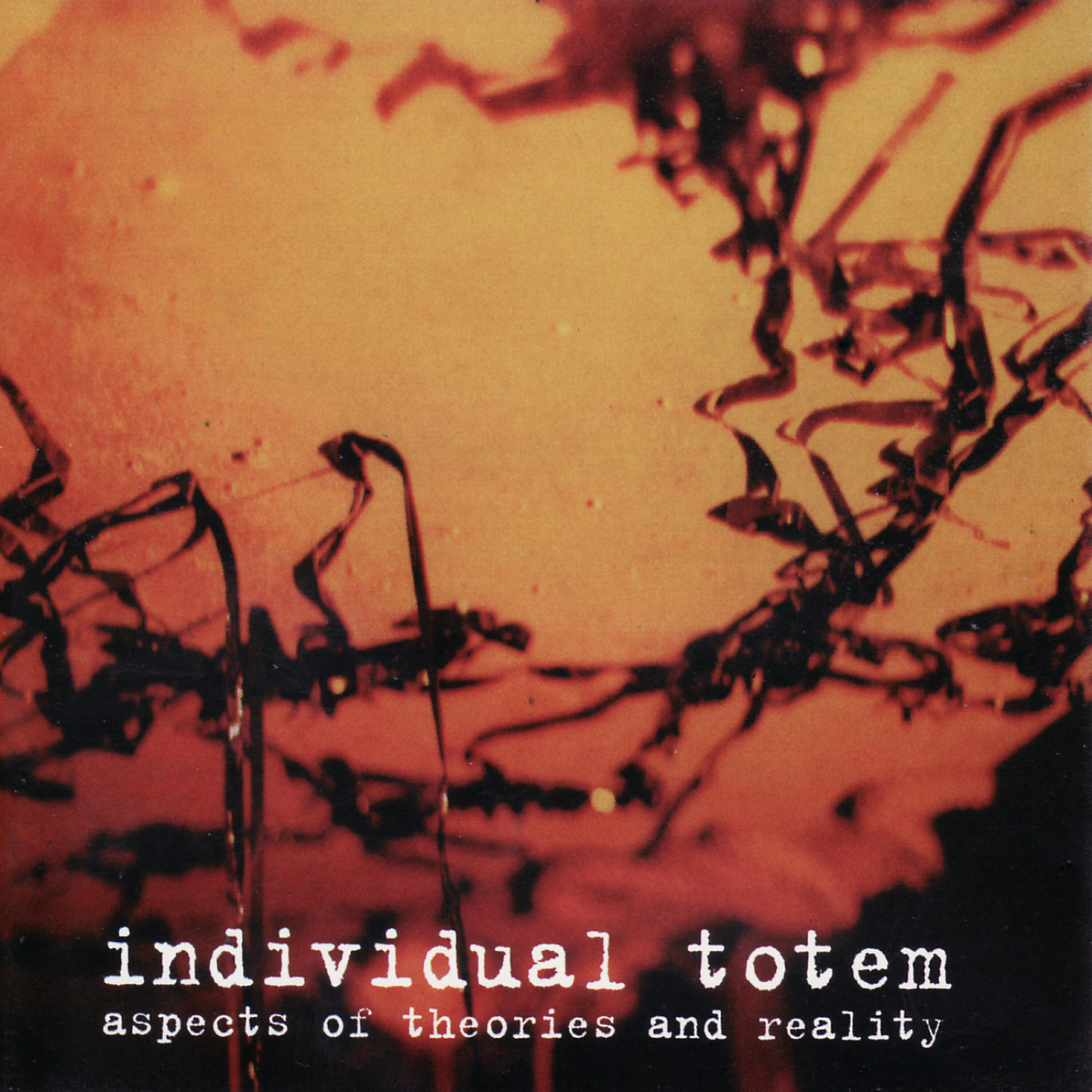 Individual Totem - Finite State Machine