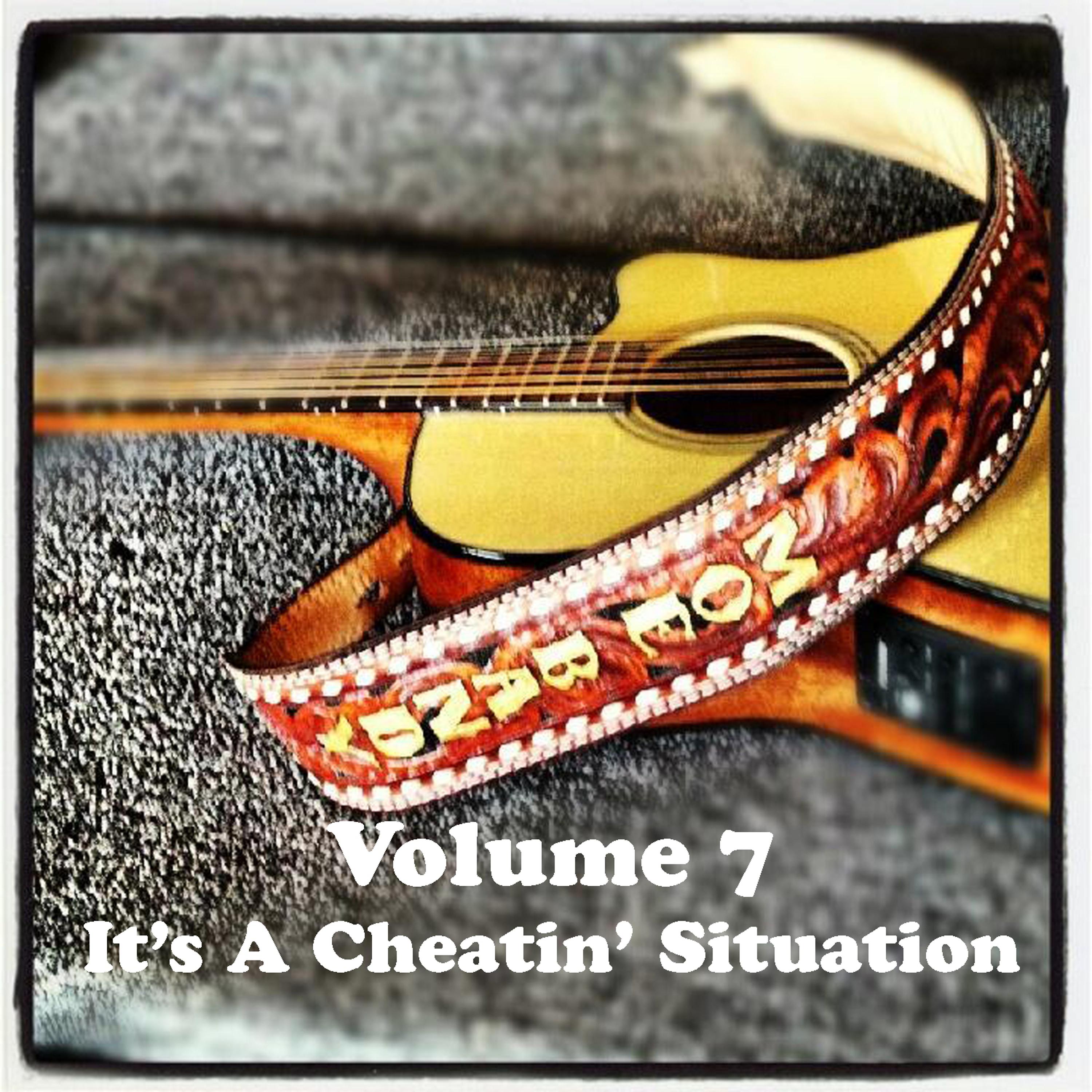Постер альбома Volume 7 - It's A Cheatin' Situation