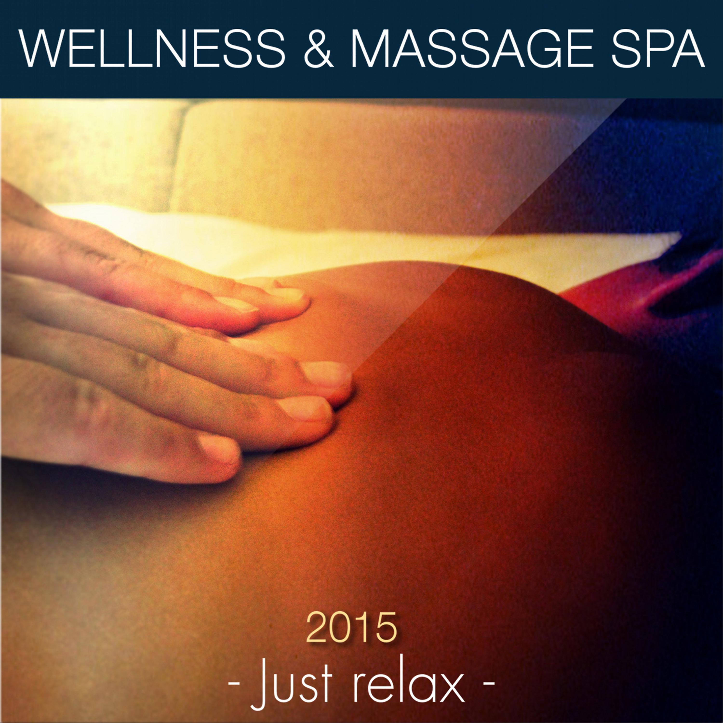 Постер альбома Wellness & Massage Spa 2015: Just Relax