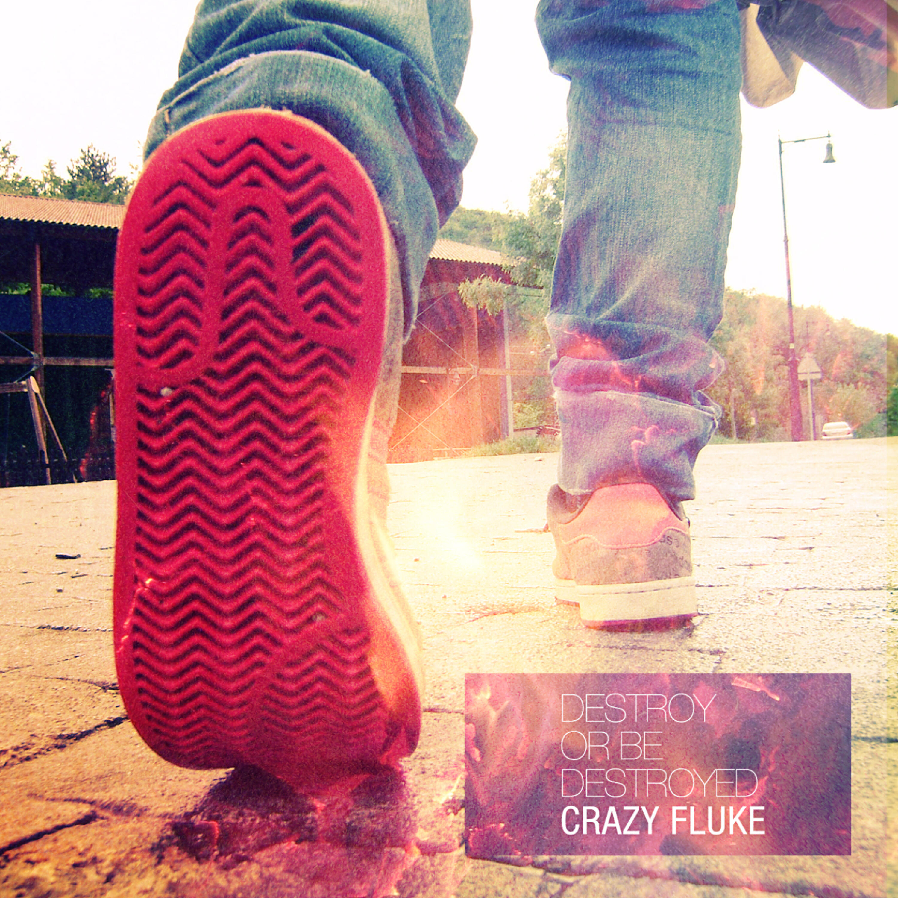 Crazy Fluke - Destroy or Be Destroyed (Radio Edit)