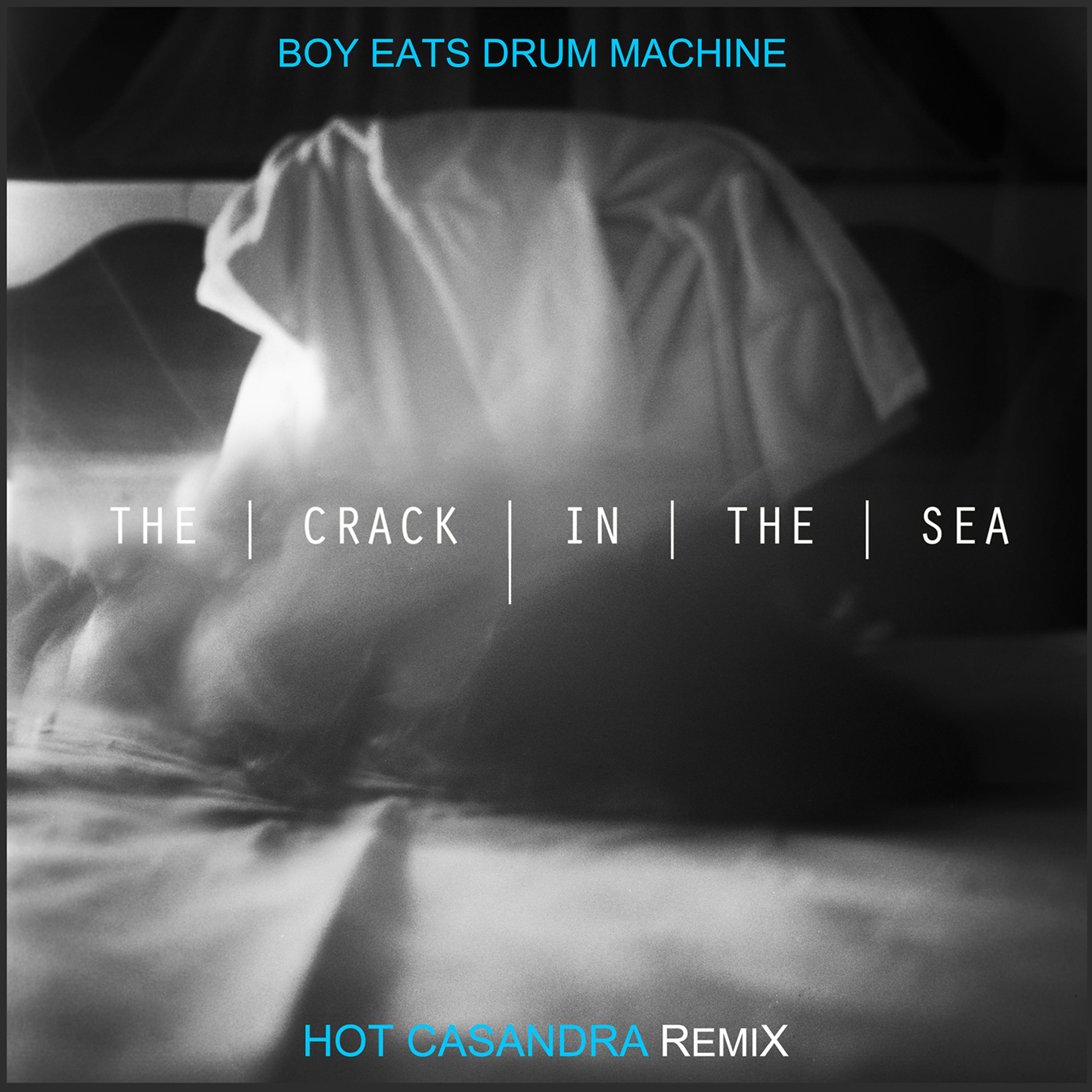 Постер альбома The Crack in the Sea (Hot Casandra Remix)