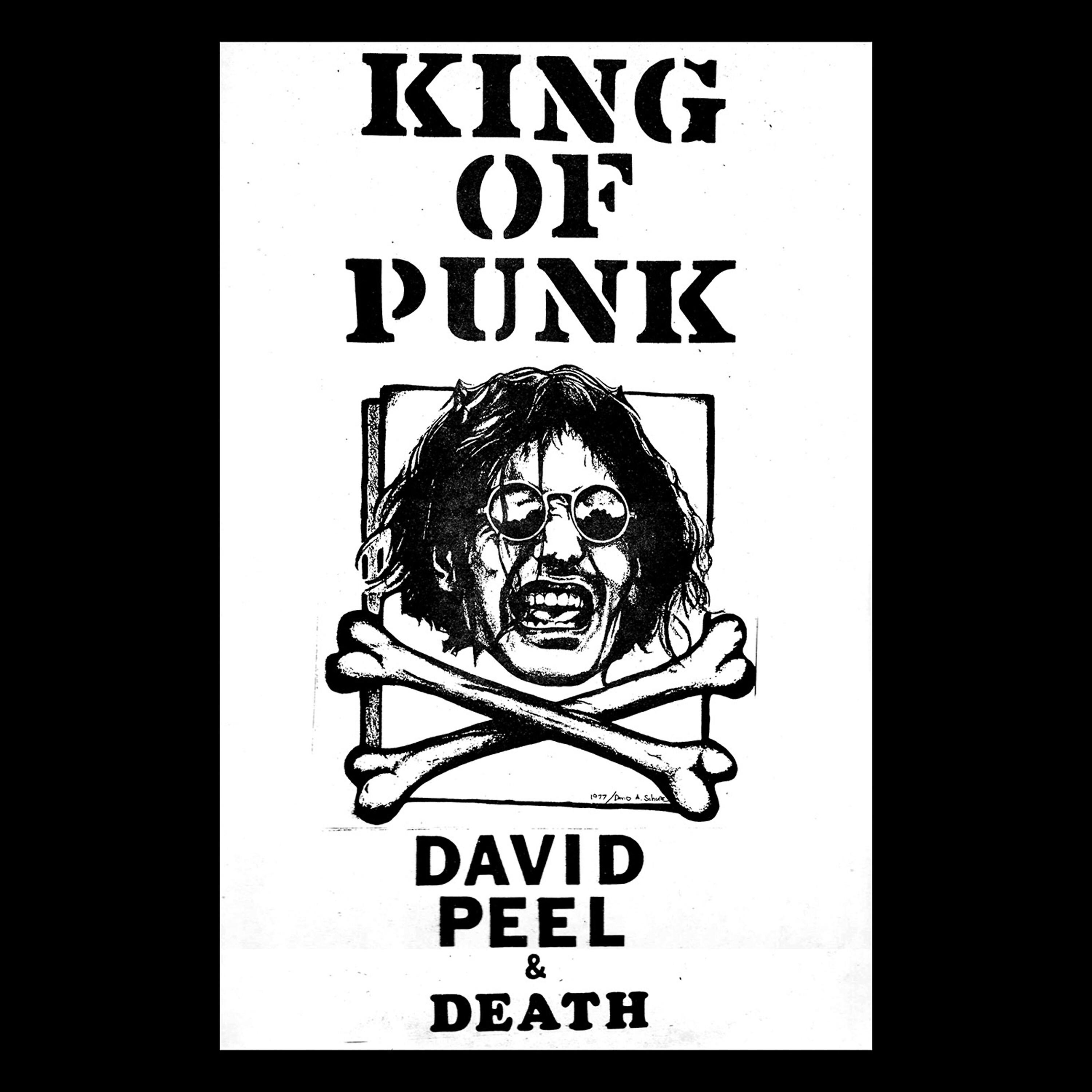 David Peel - Punk Rock