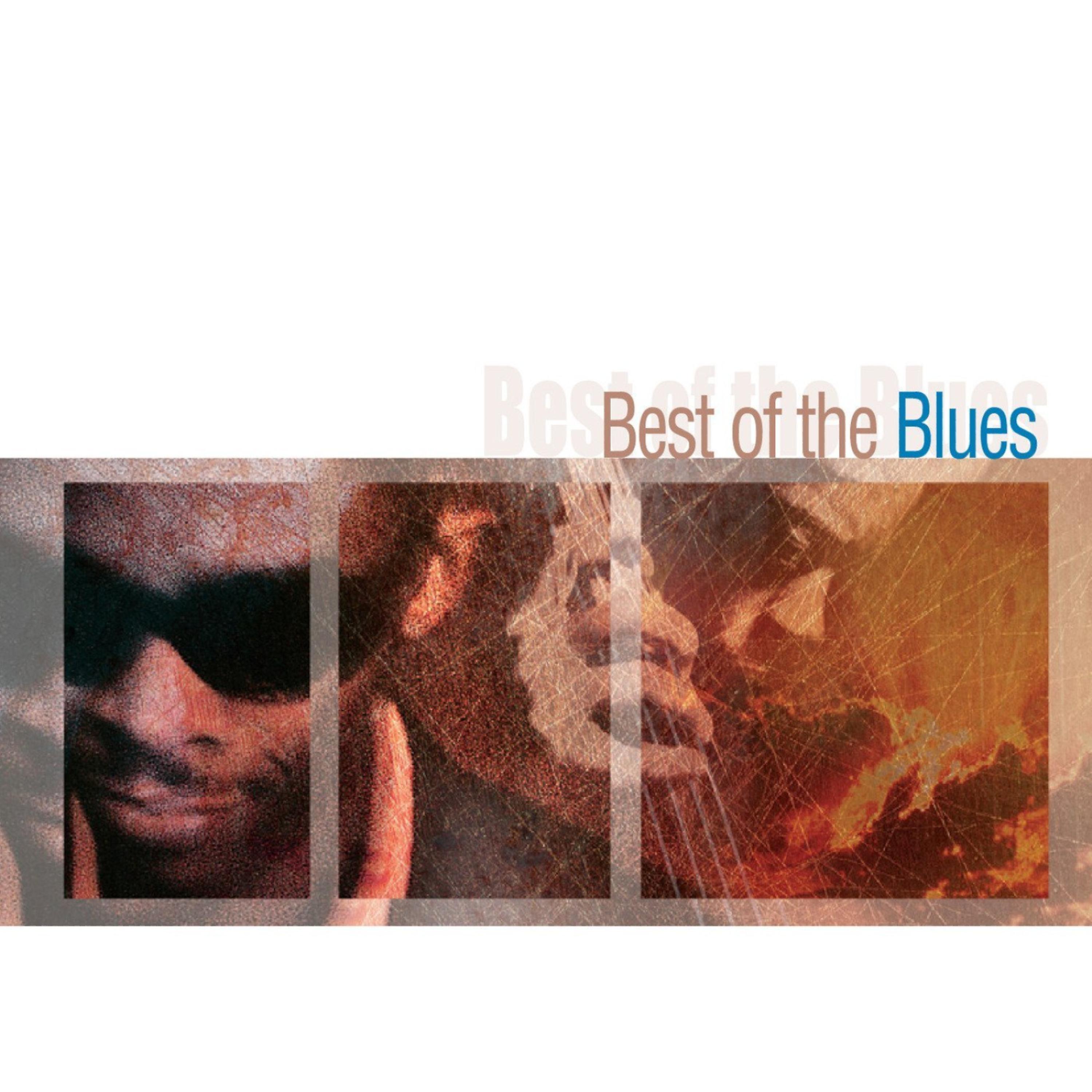 Постер альбома Best Of The Blues