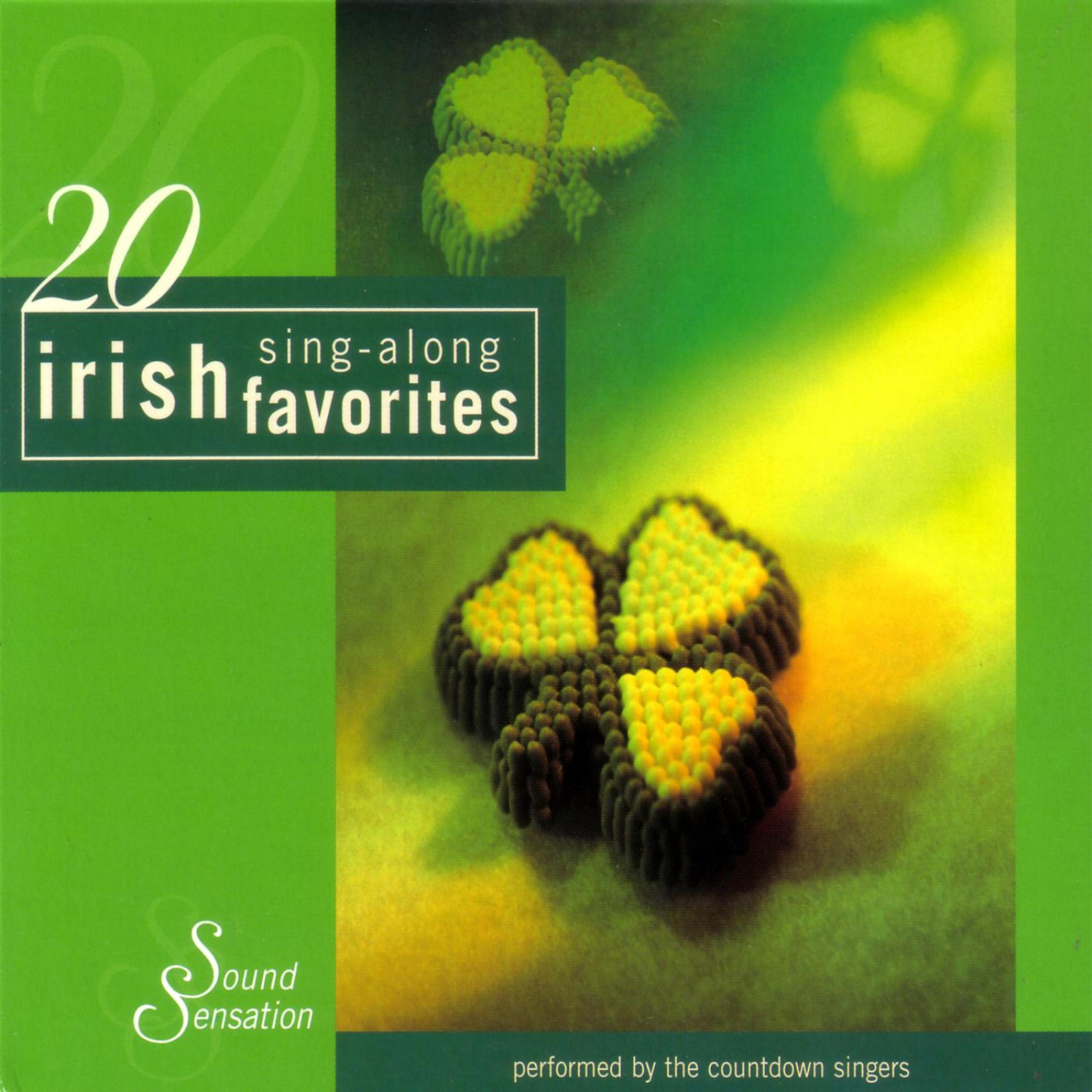 Постер альбома 20 Irish Sing-a-long Favorites