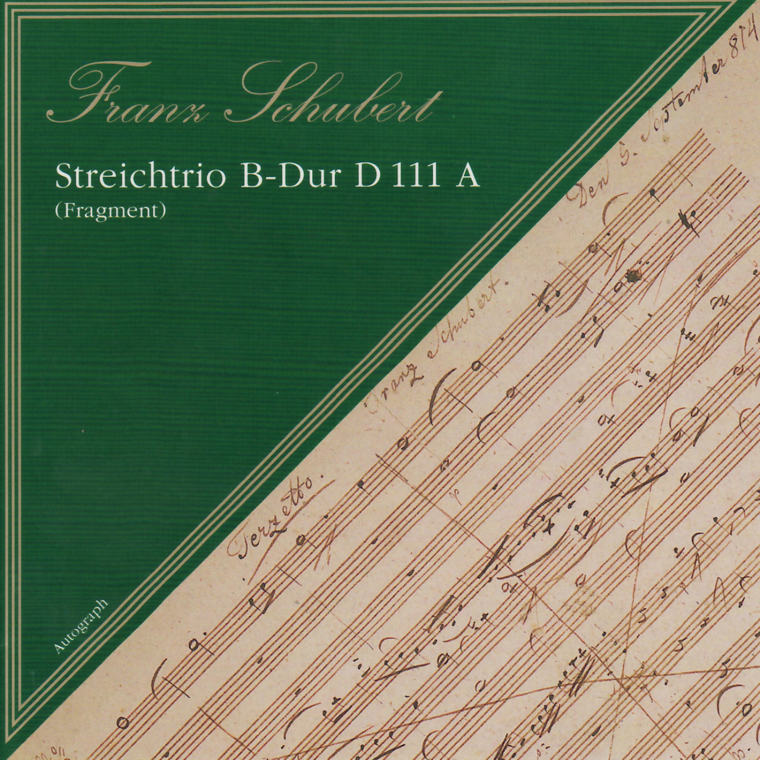 Gabriela Sima - Streichtrio B Dur, D. 111A: V. Hin unde wieder fliegen Pfeile