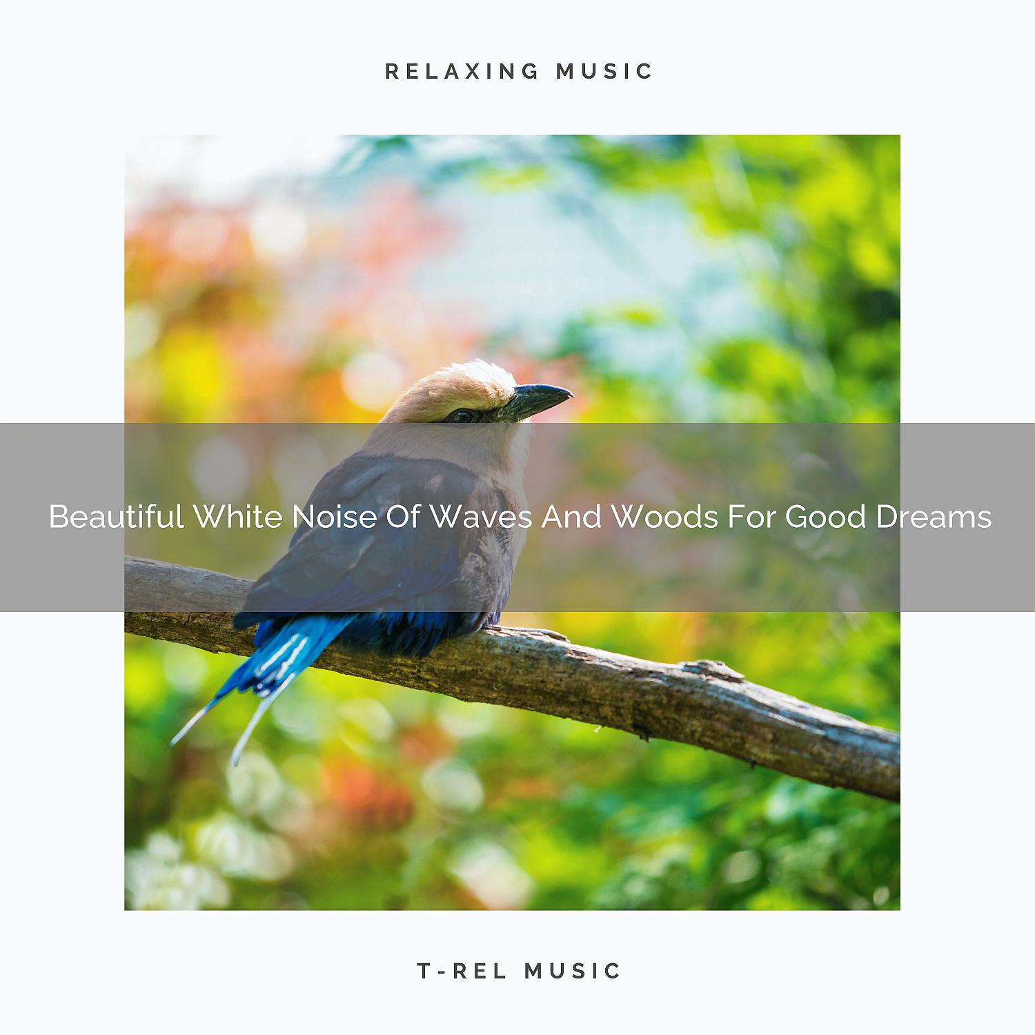 Постер альбома Beautiful White Noise Of Waves And Woods For Good Dreams