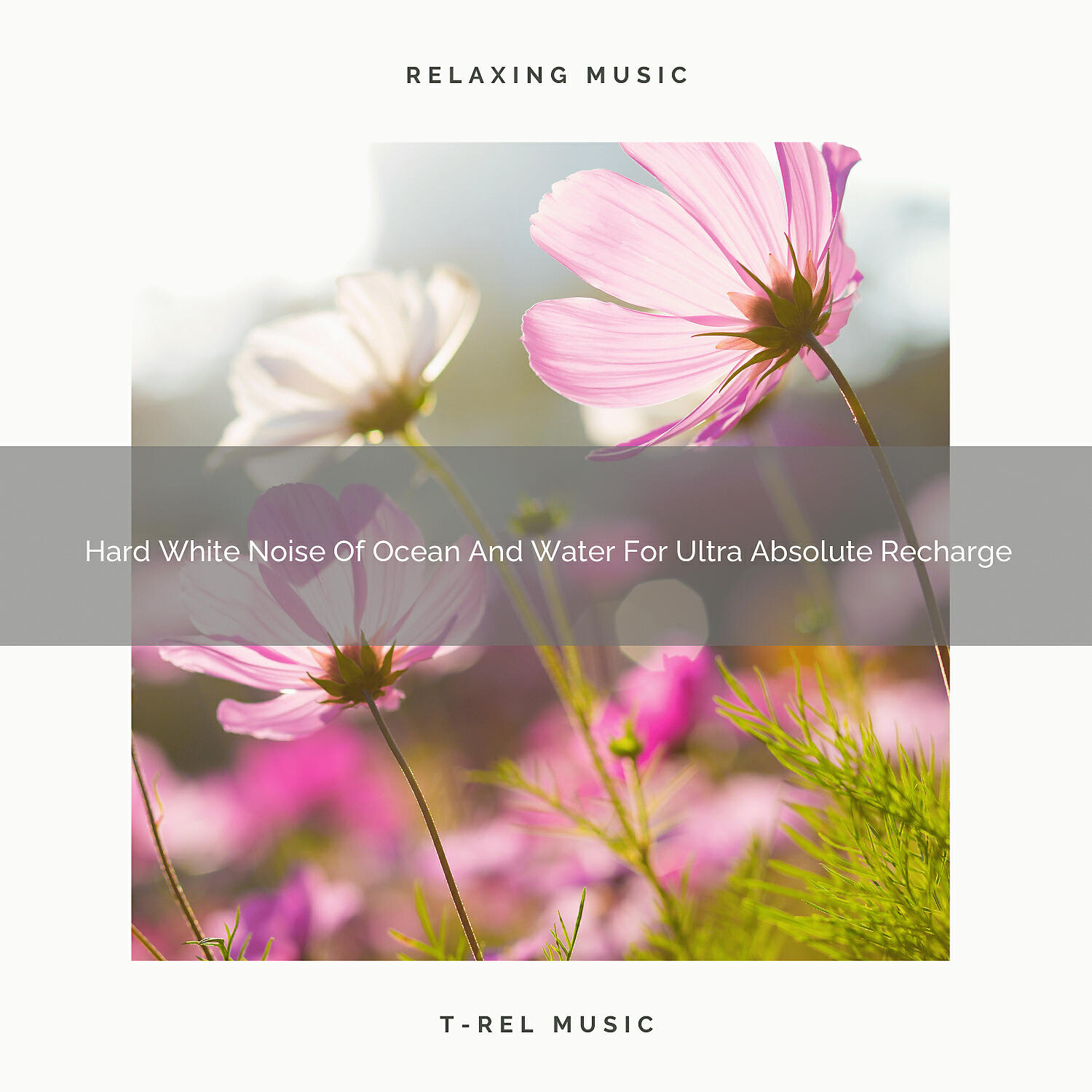 White Noise Spa - Beautiful White Noise Of Waves And Woods For Delicious Nap
