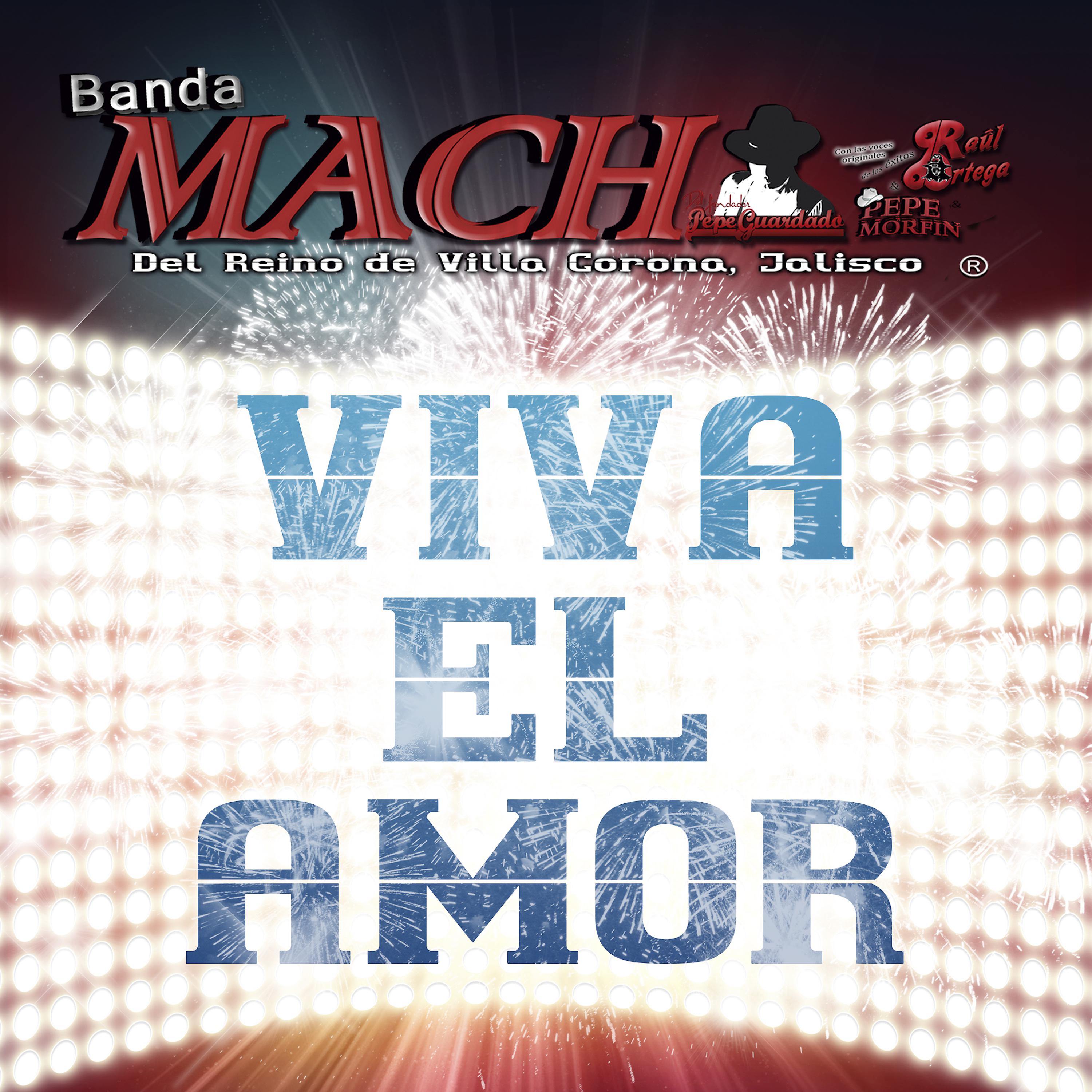 Постер альбома Viva el Amor