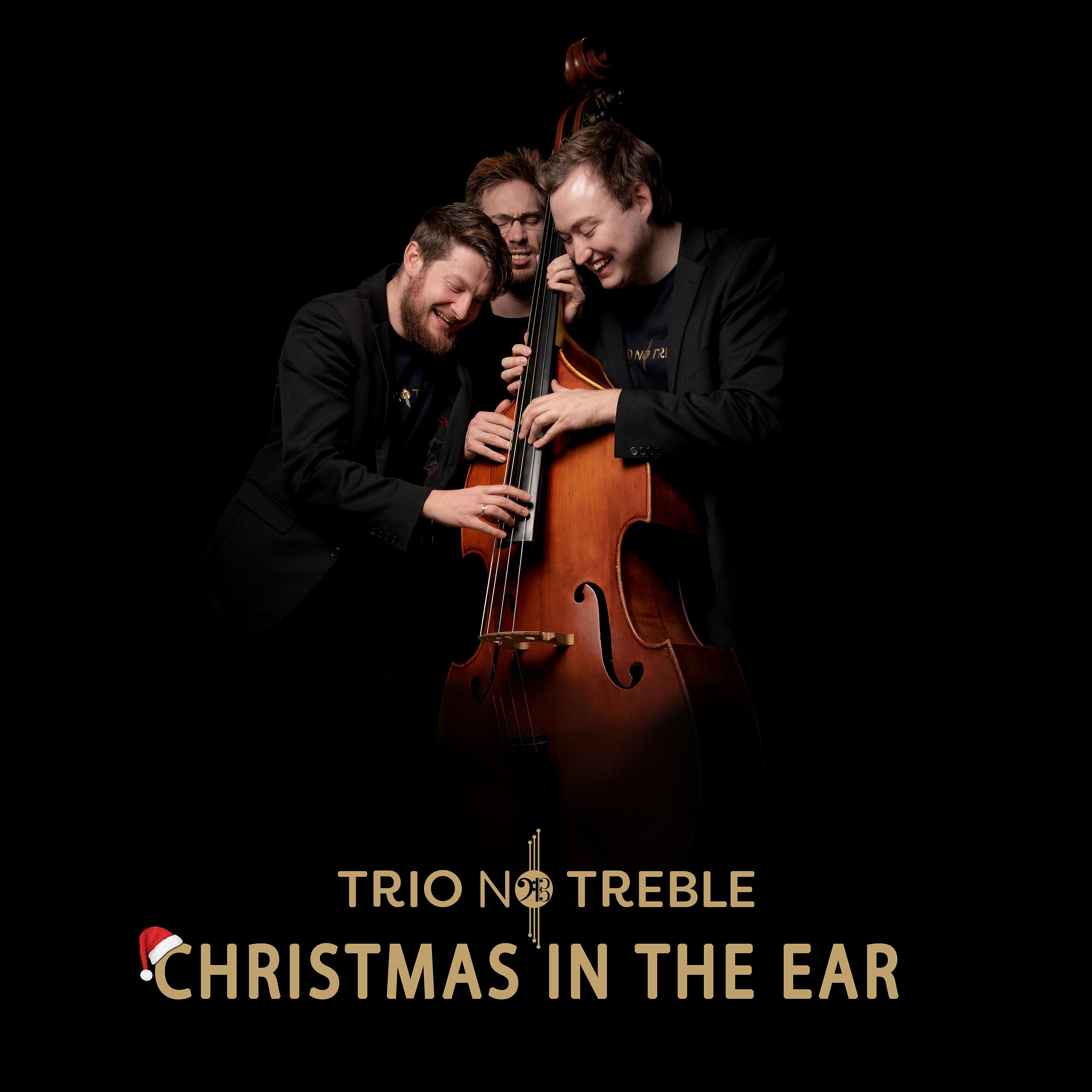 Постер альбома Christmas in the Ear