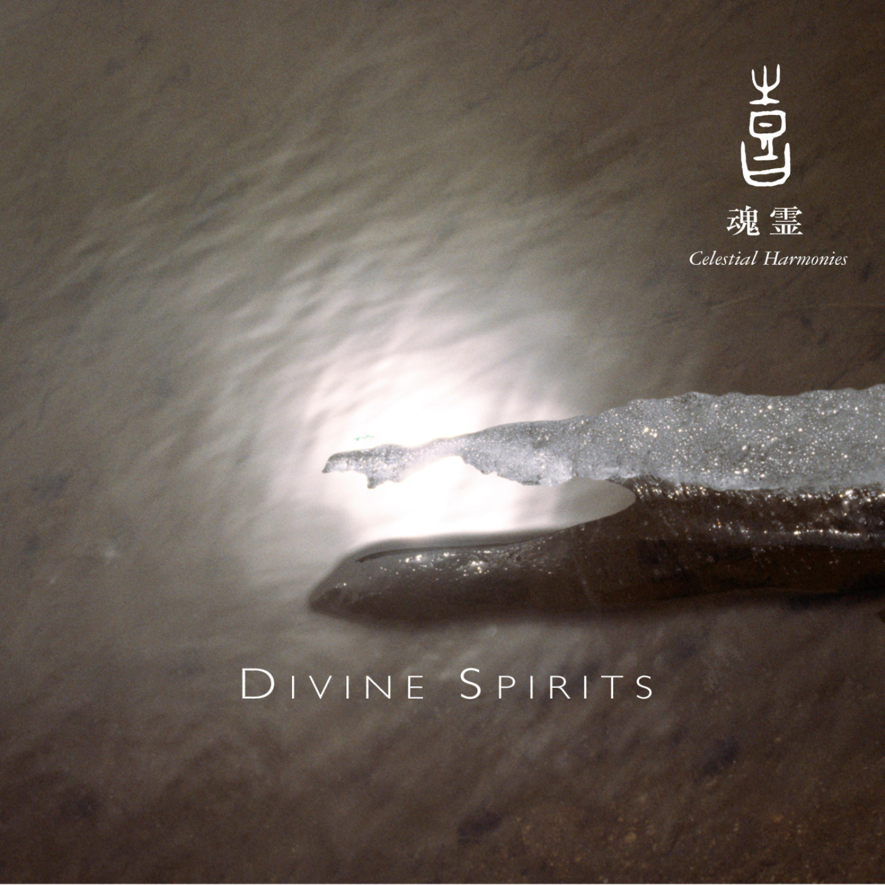 Постер альбома Celestial Scenery: Divine Spirit, Volume 8