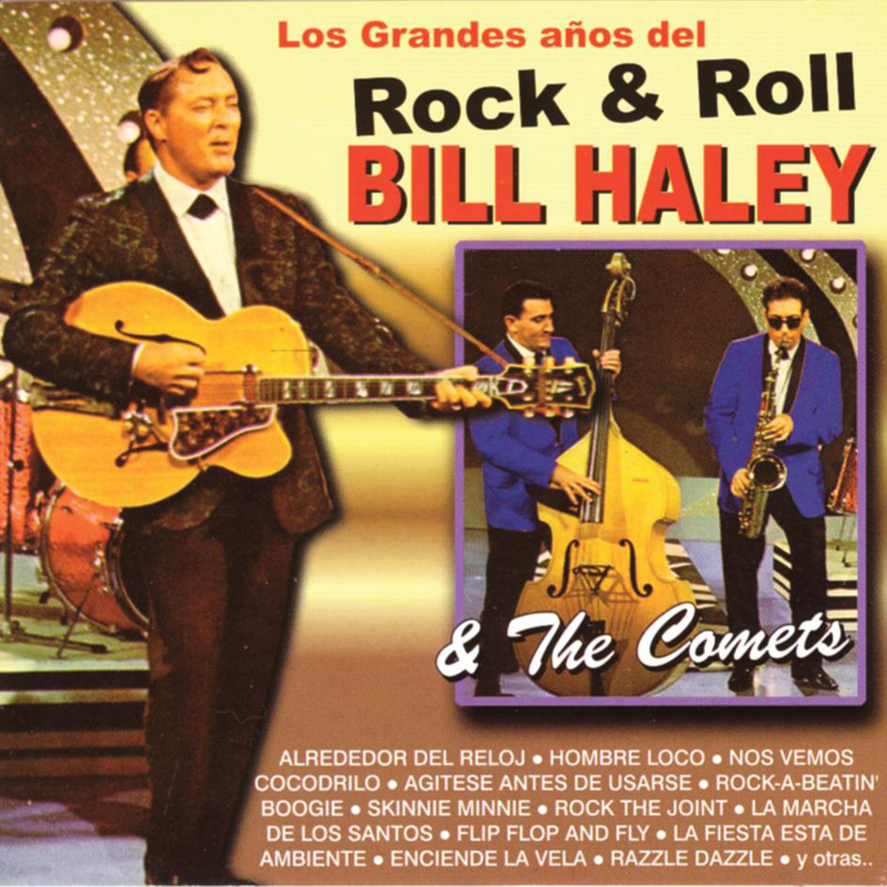 Постер альбома Los Grandes Años del Rock & Roll - Bill Haley & The Comets