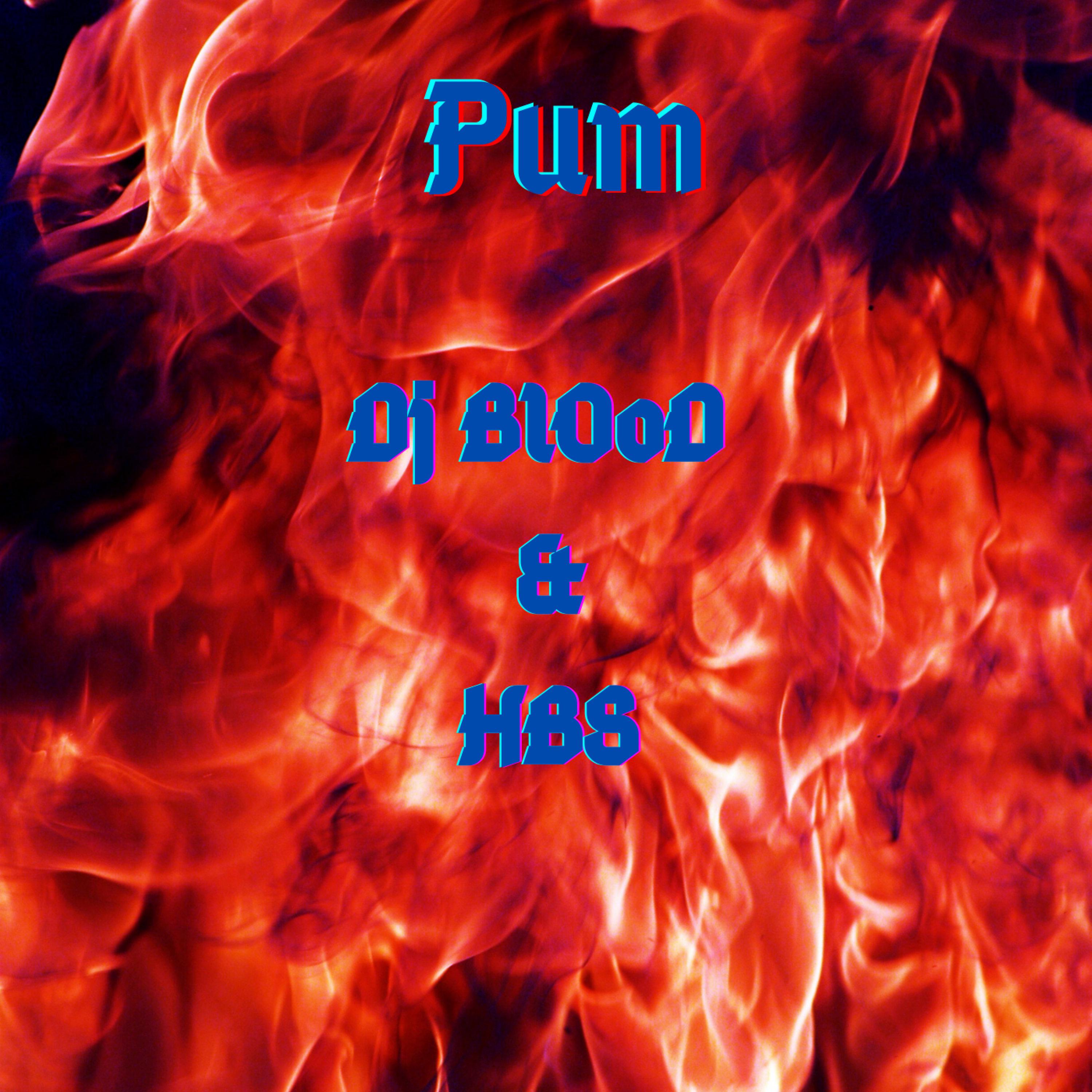 Постер альбома Pum