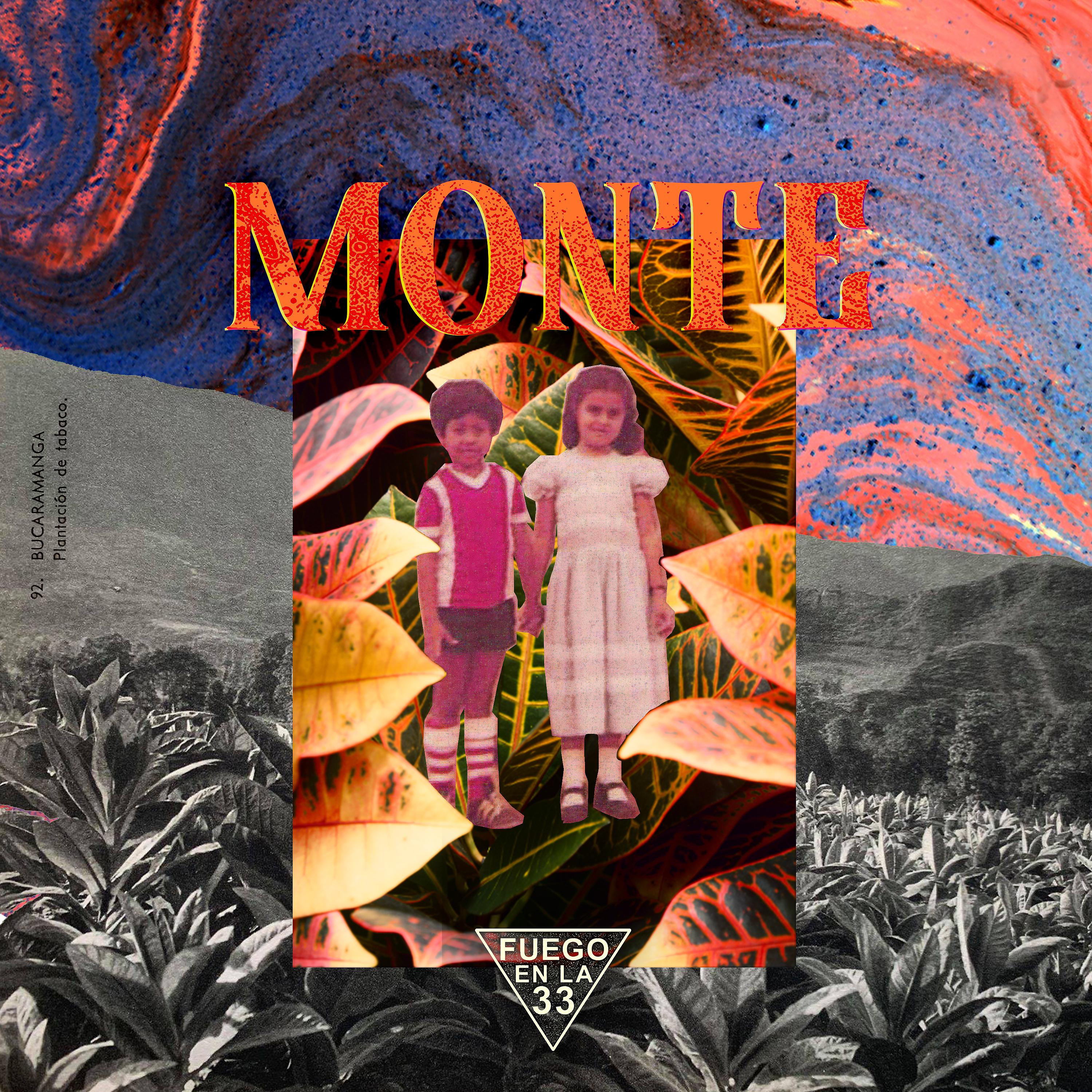 Постер альбома Monte en Fuego en la 33