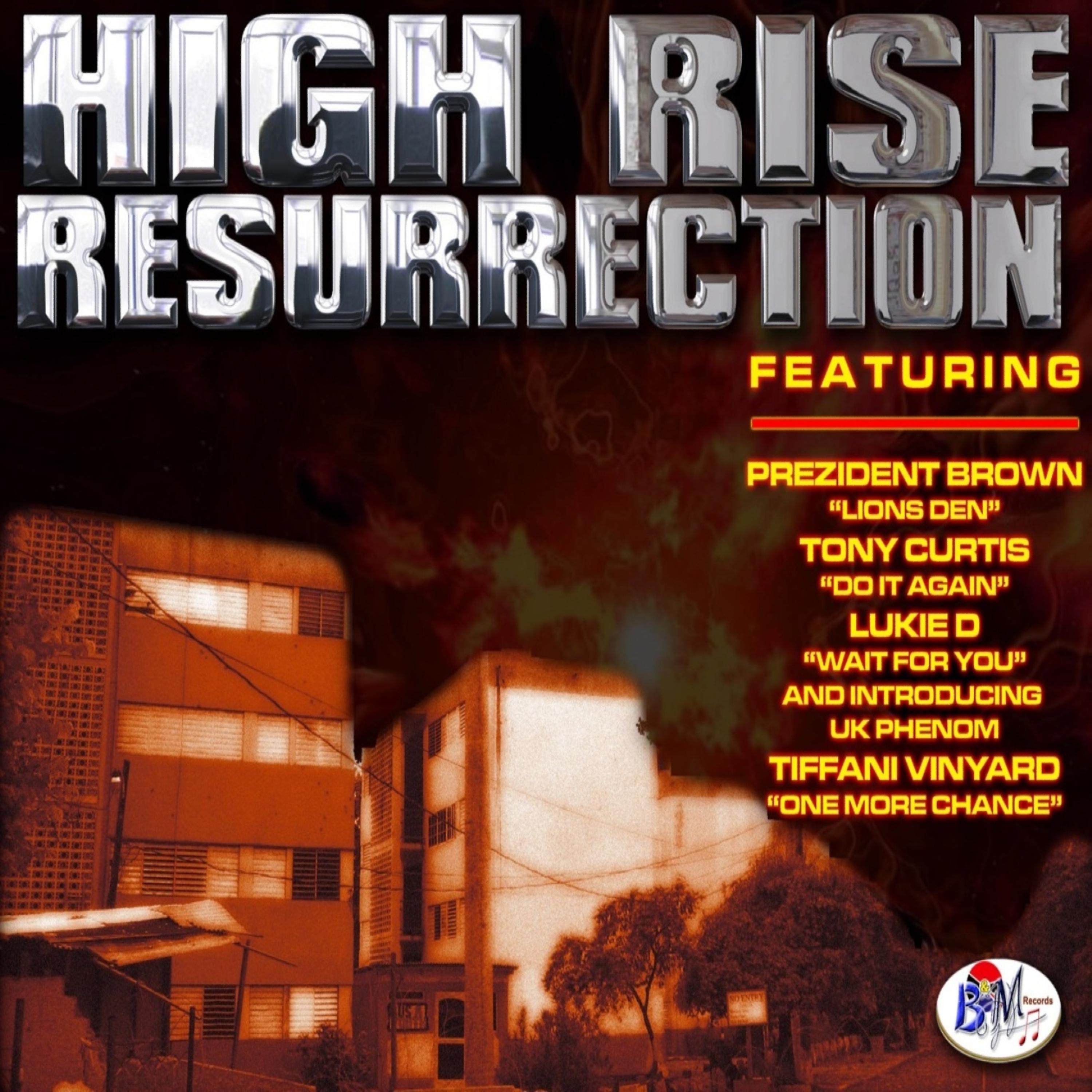 Постер альбома HIGH RISE RESSURRECTION