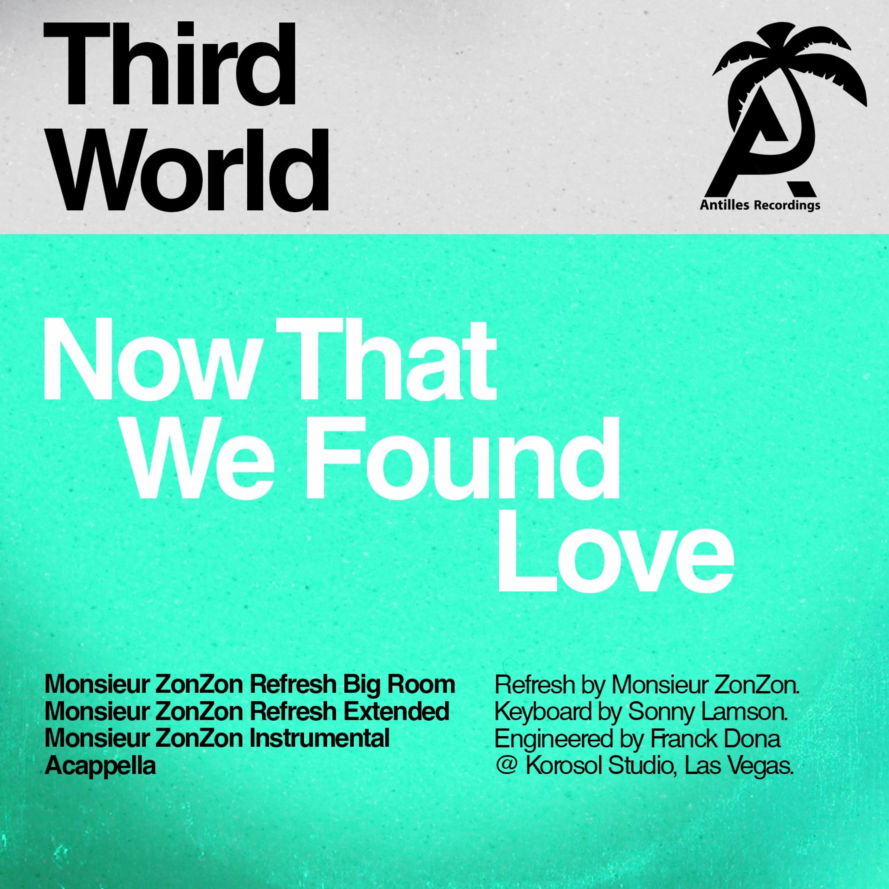 Постер альбома Now That We Found Love (Monsieur Zonzon Remixes)