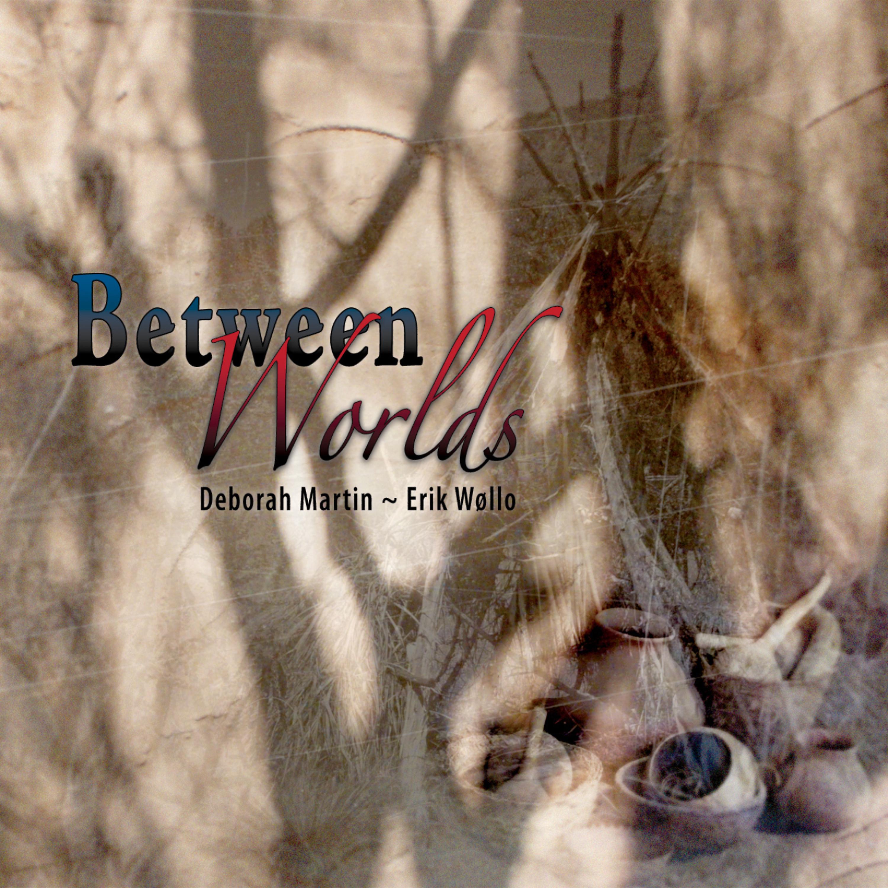 Постер альбома Between Worlds