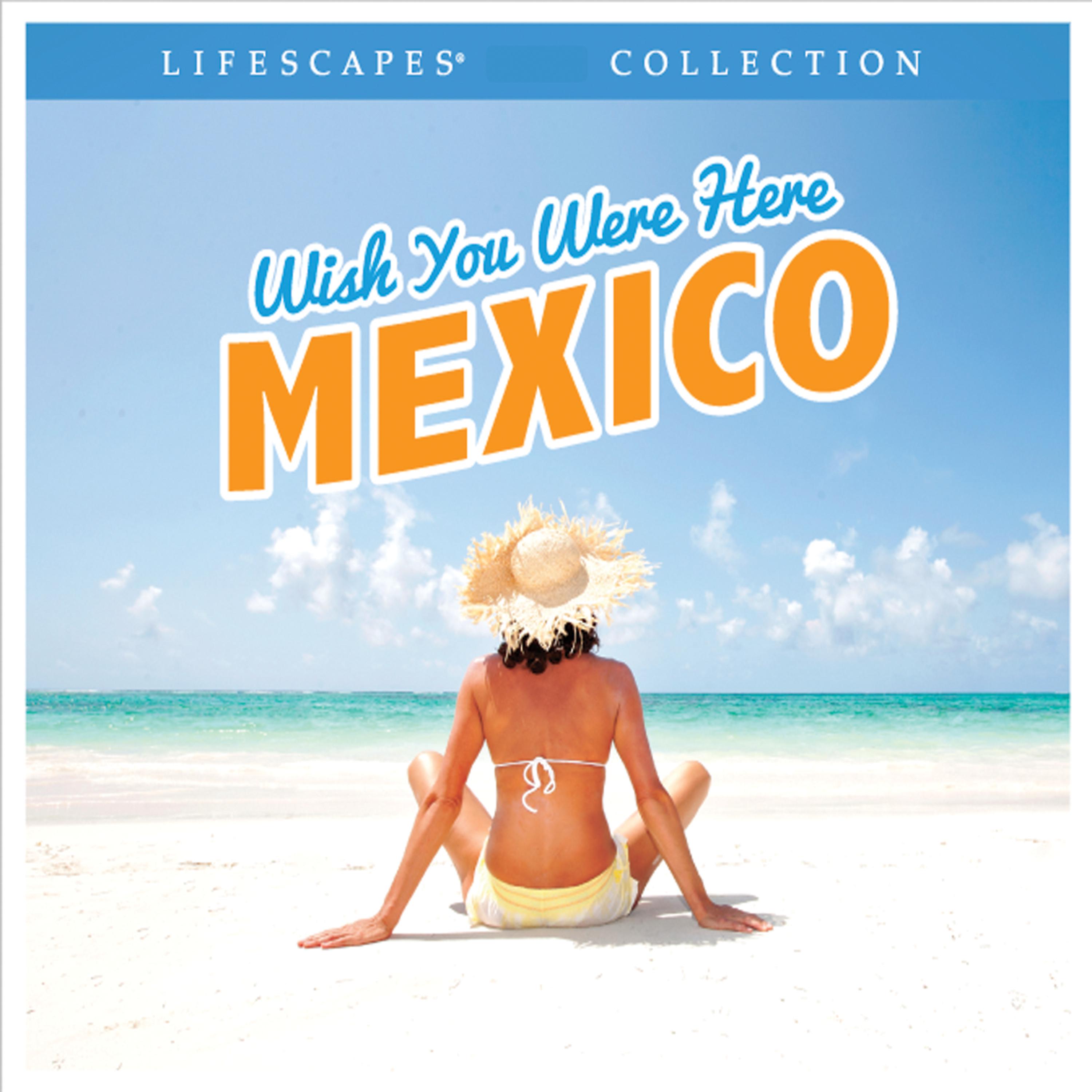 Постер альбома Wish You Were Here Mexico