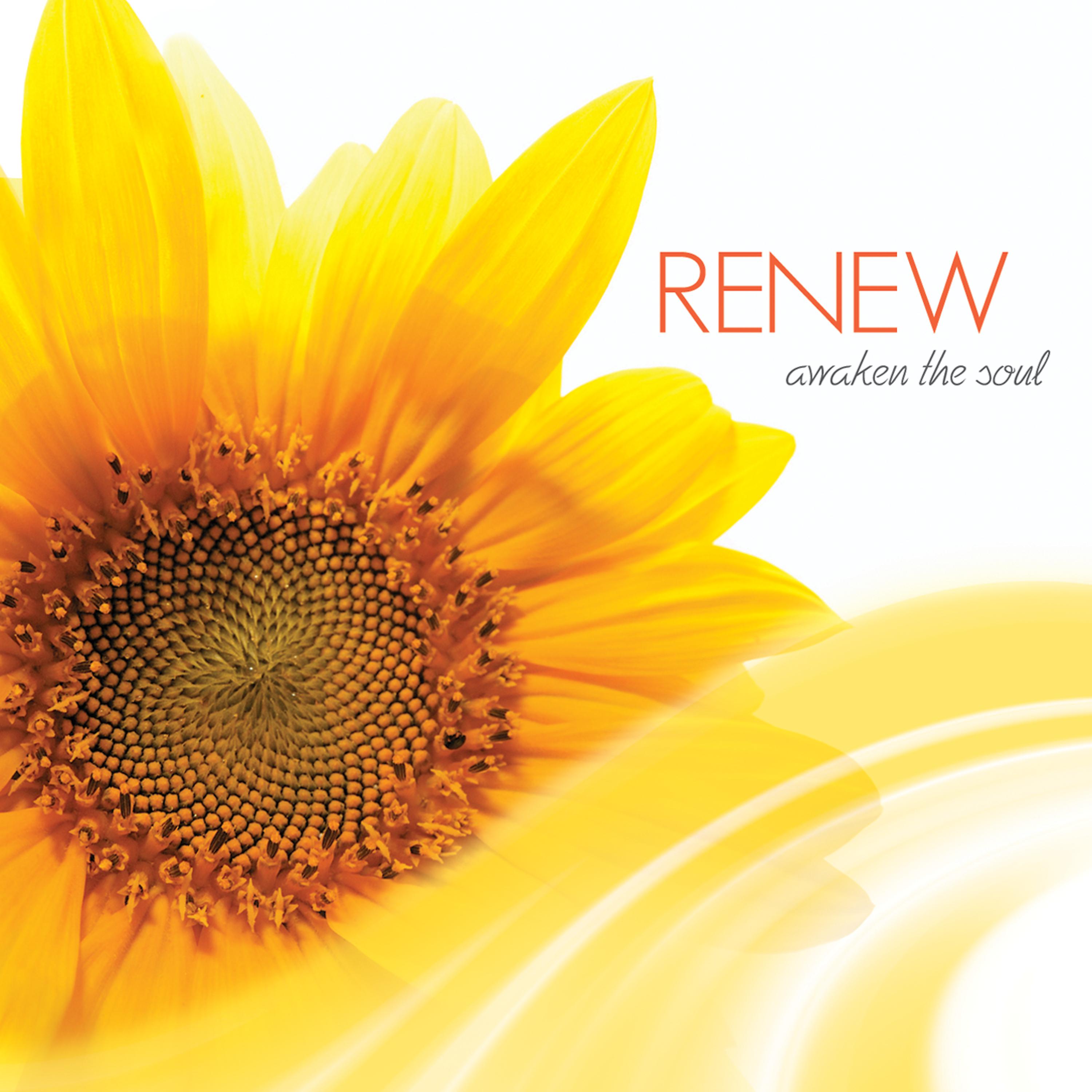 Постер альбома Renew: Awaken the Soul