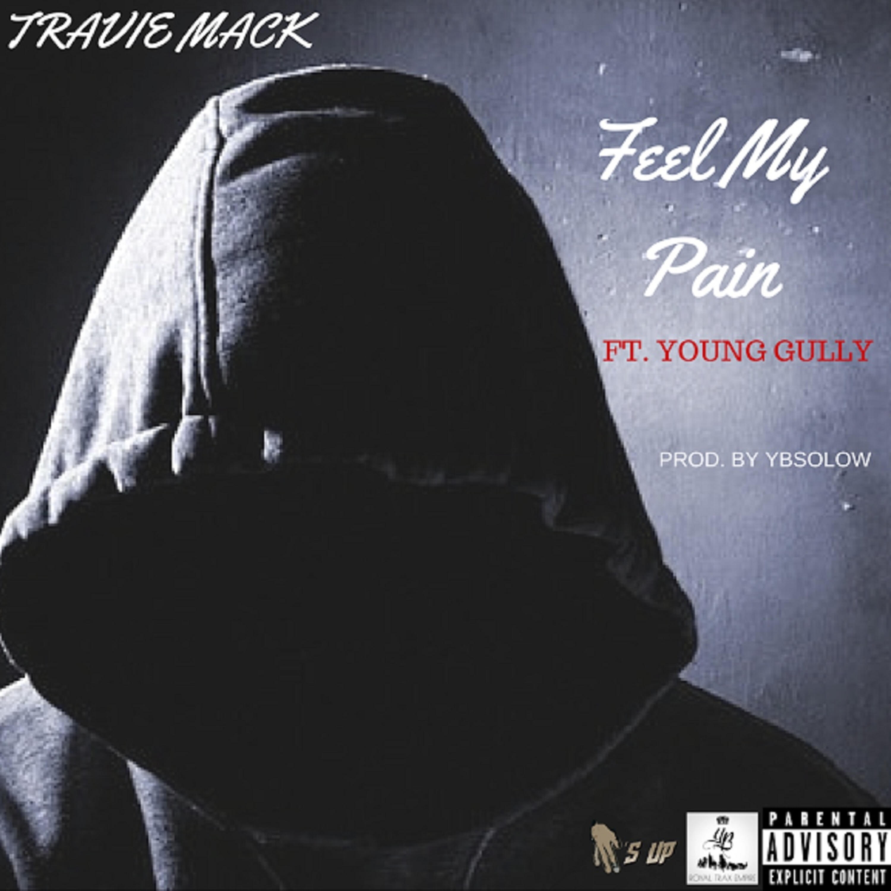 Young Gully - Feel My Pain (feat. Young Gully)