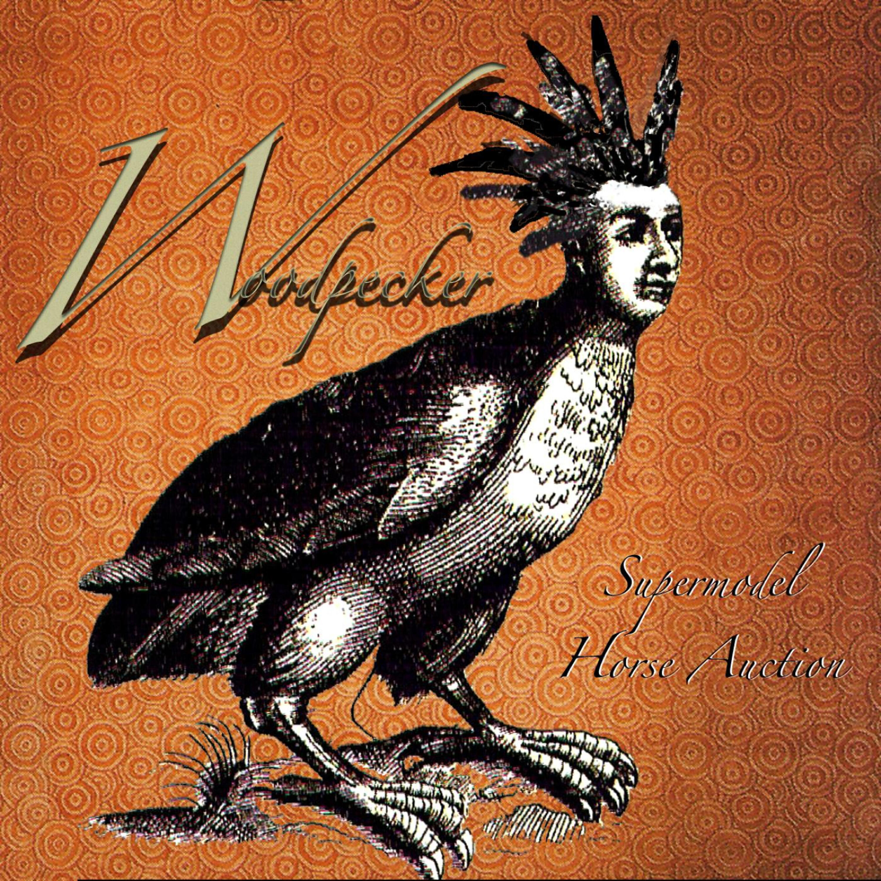 Woodpecker - Aloha Aqueduct Volcano