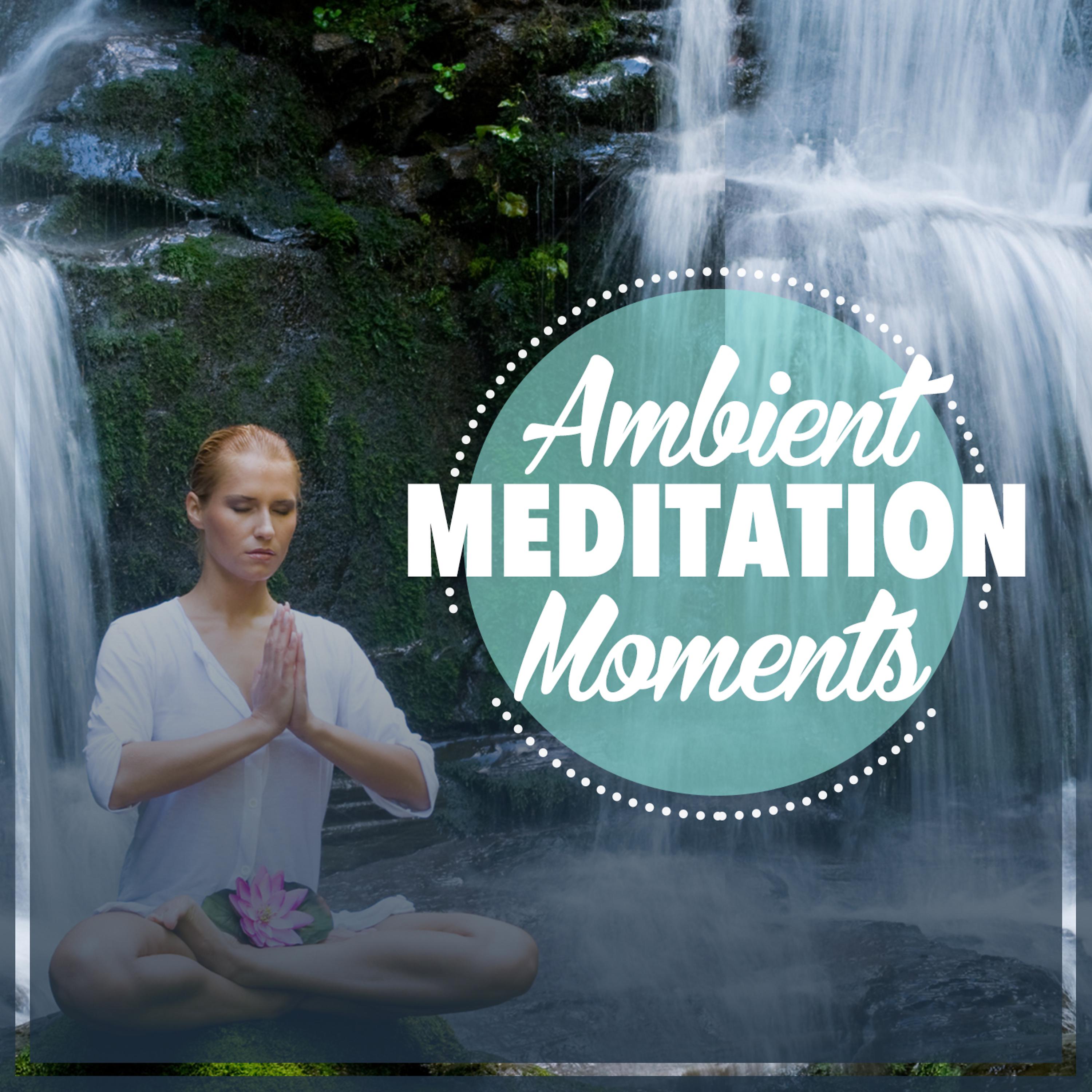 Постер альбома Ambient Meditation Moments
