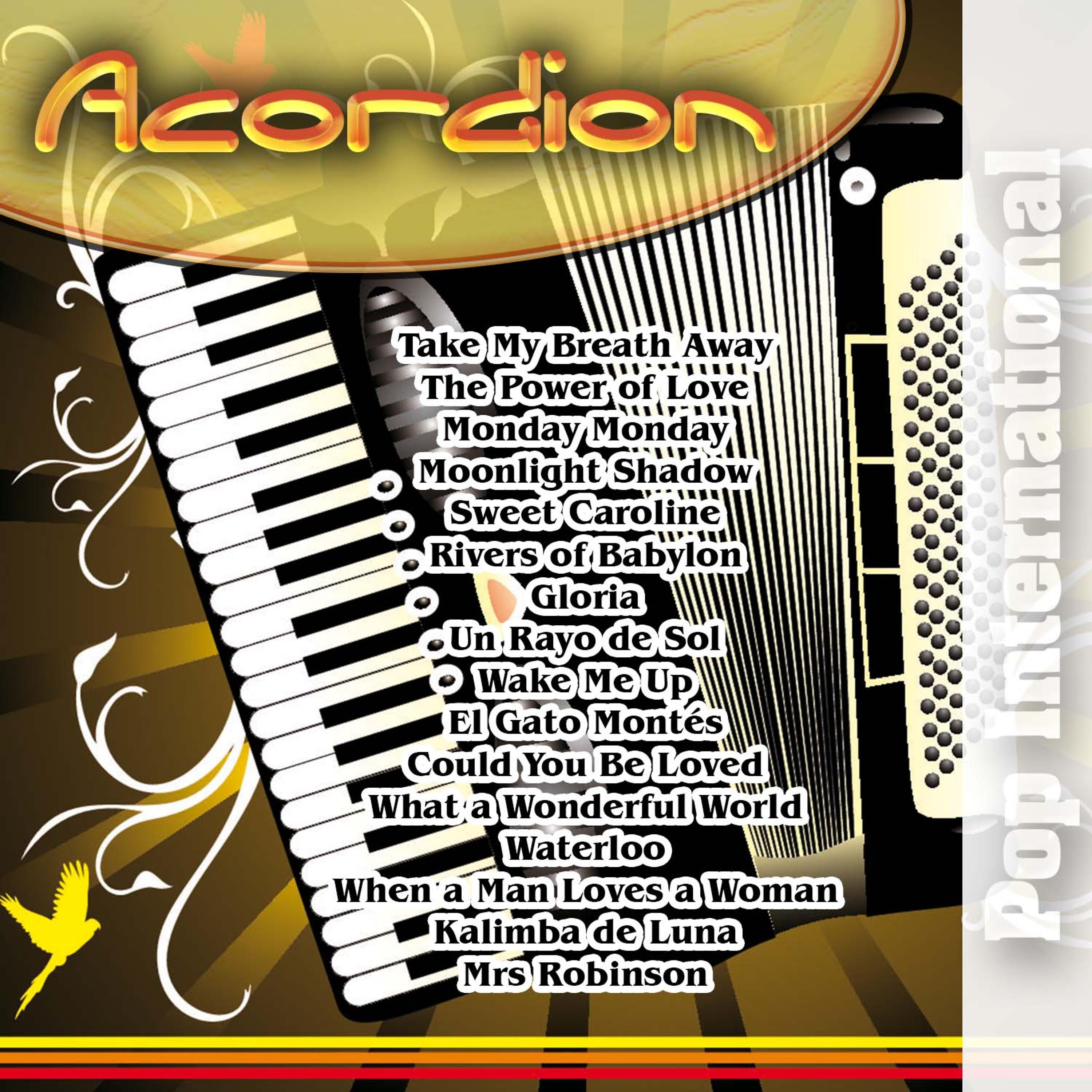 Постер альбома Acordion - Pop International