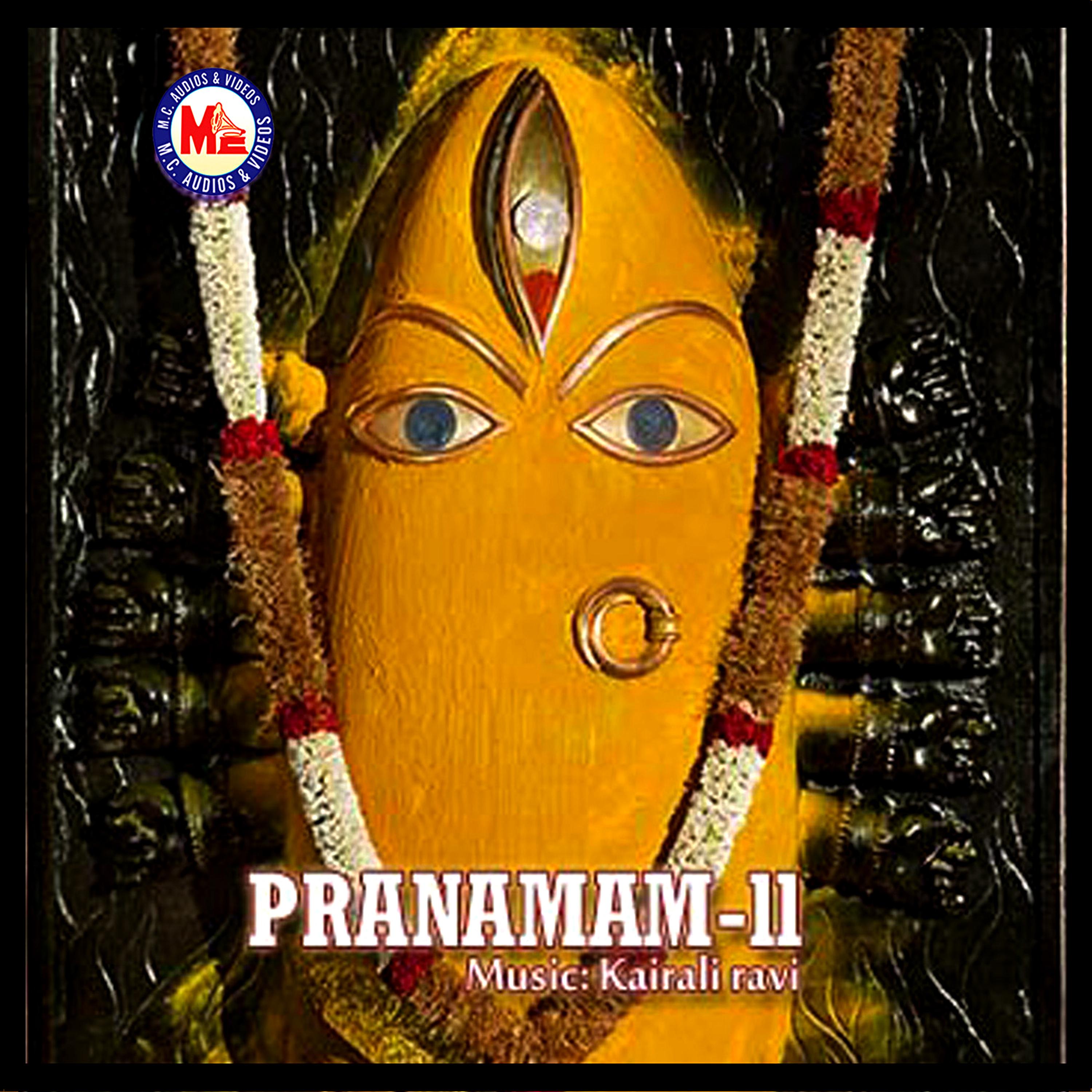 Постер альбома Pranamam, Vol. 2