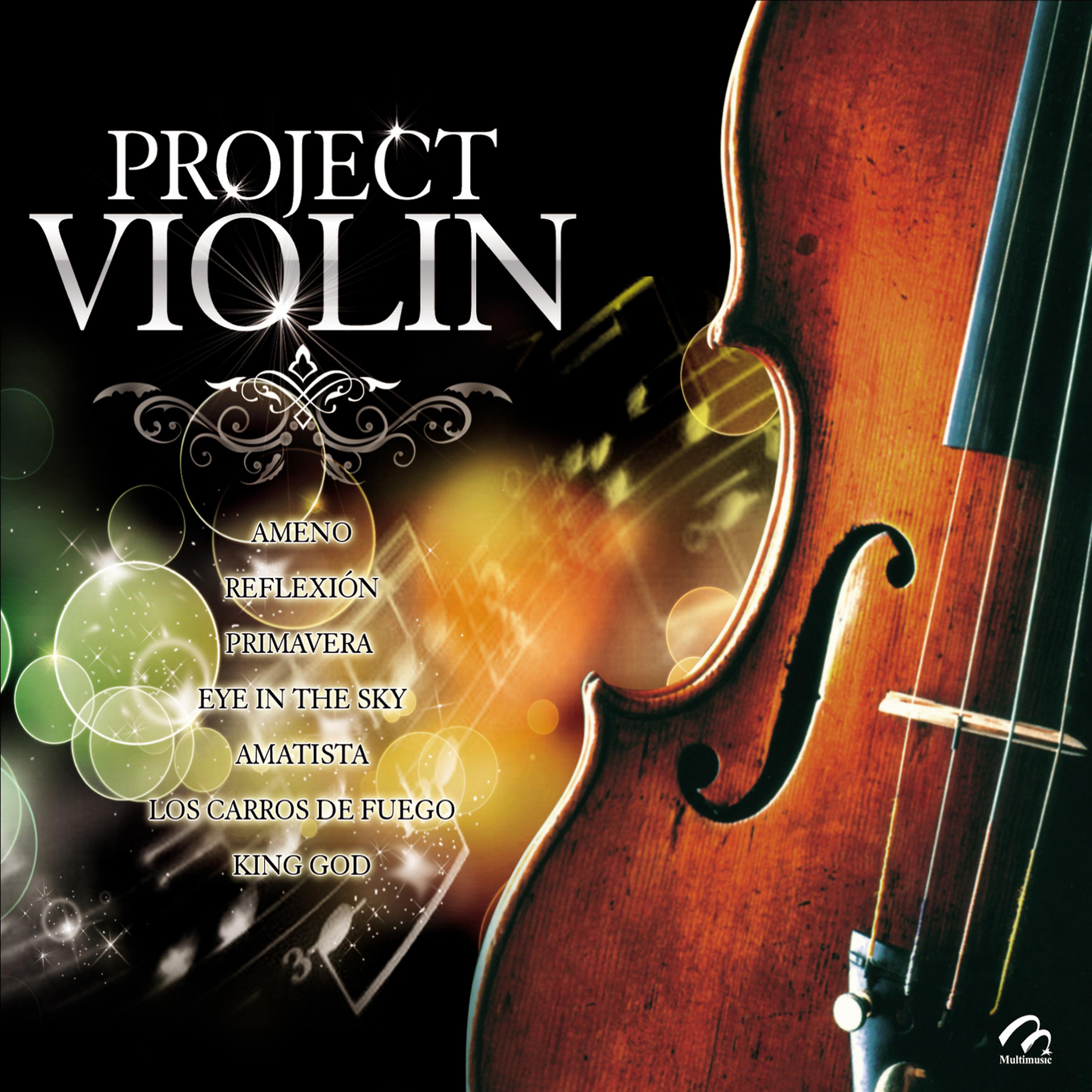 Постер альбома Project Violin