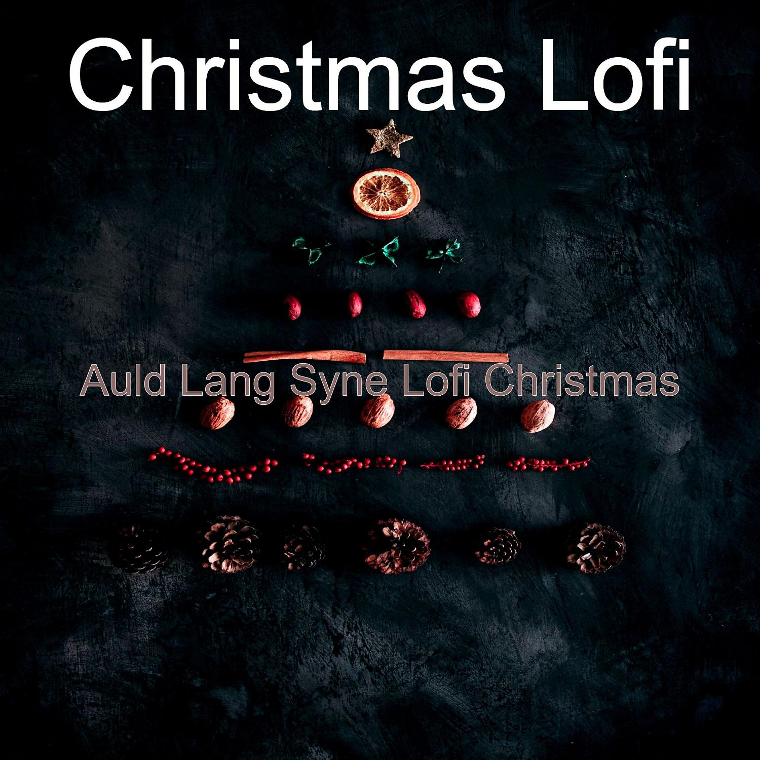Постер альбома Auld Lang Syne Lofi Christmas