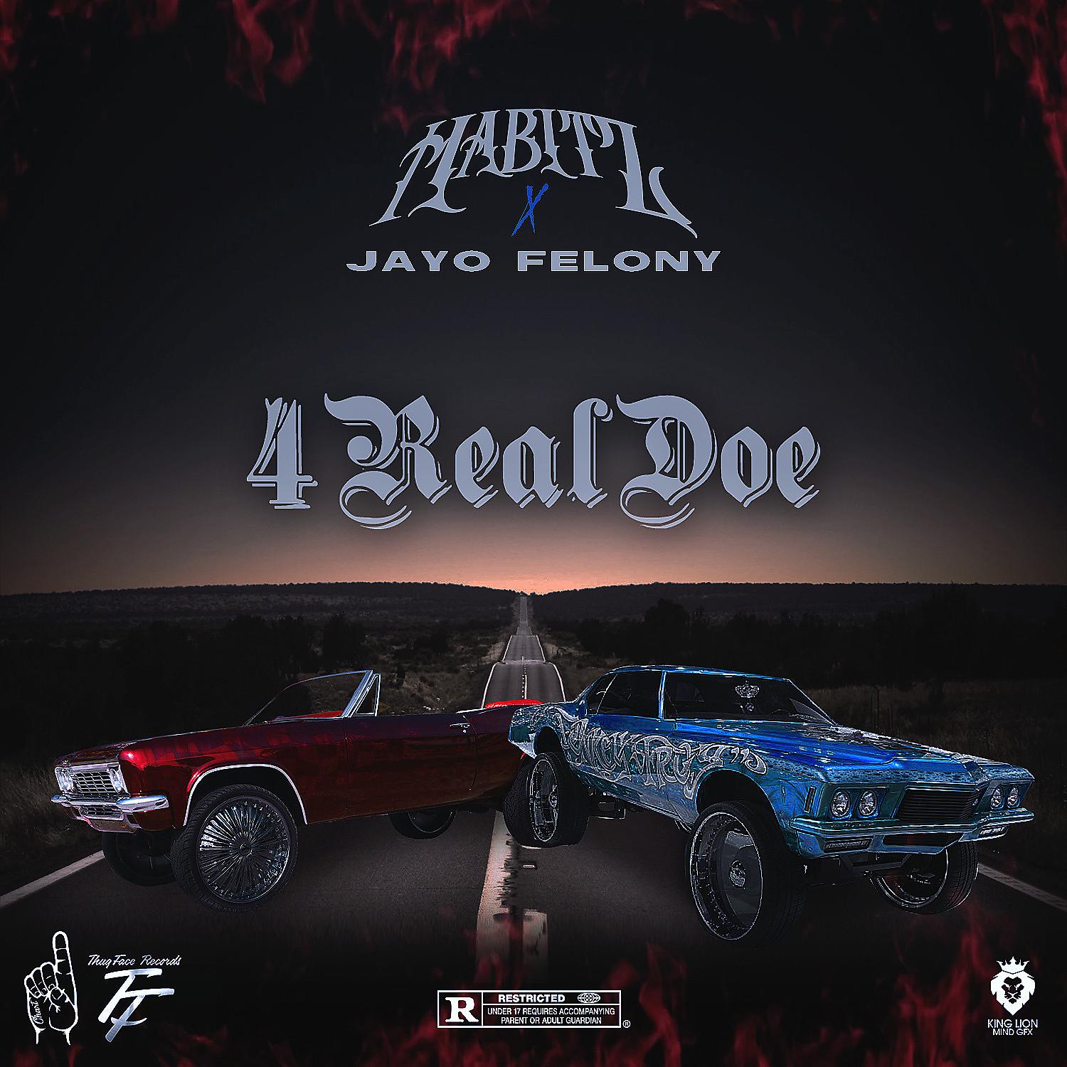 Постер альбома 4REALDOE (feat. Jayo Felony)