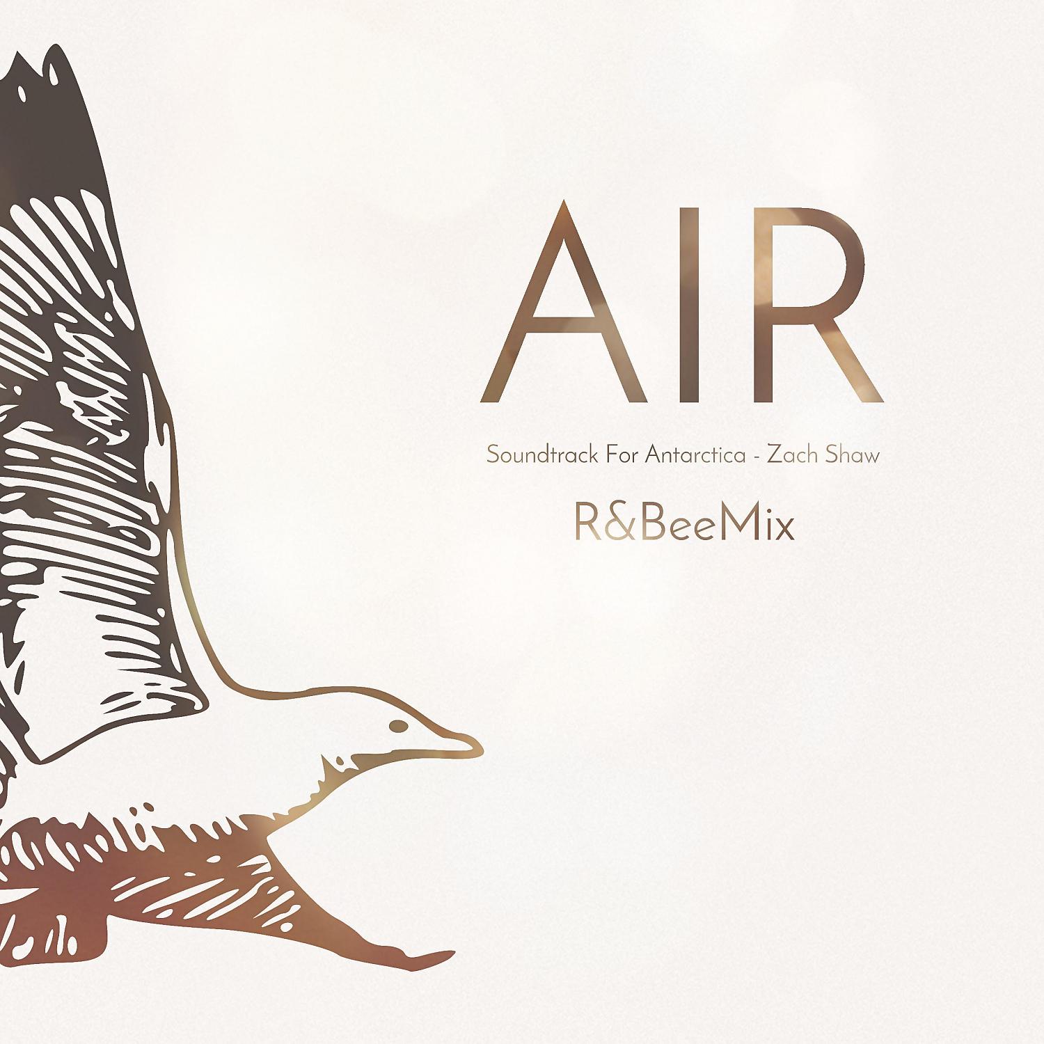 Постер альбома Air (R&BeeMix)