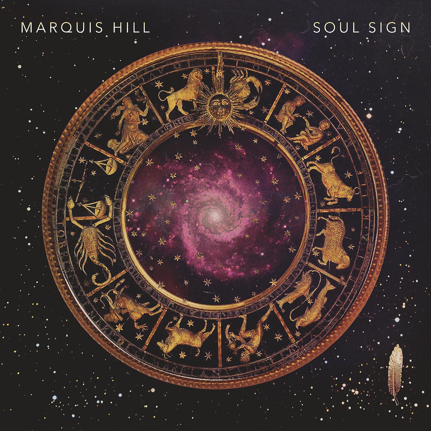 Постер альбома Soul Sign