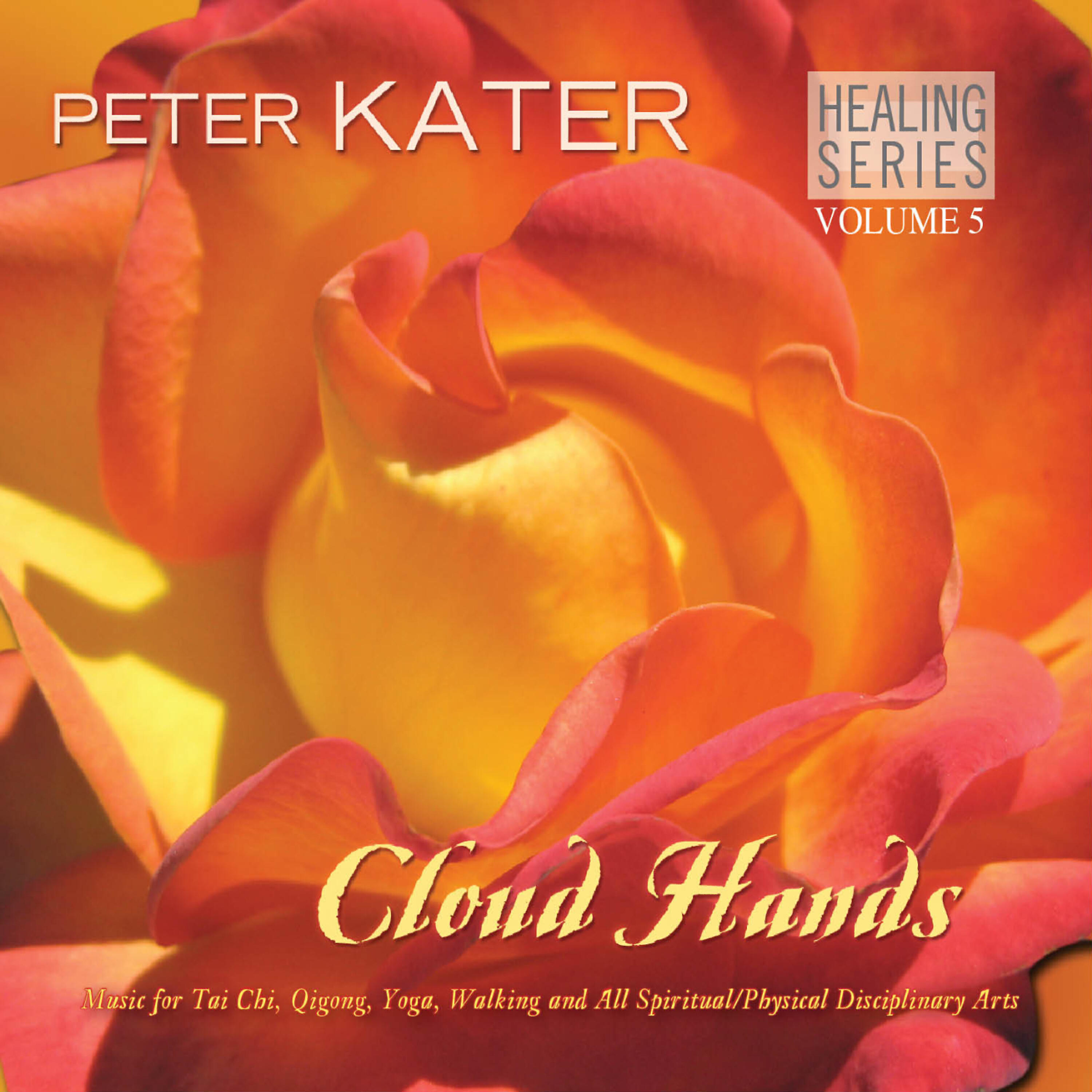 Peter Kater - Bamboo Dance (Recorded in April 2008)