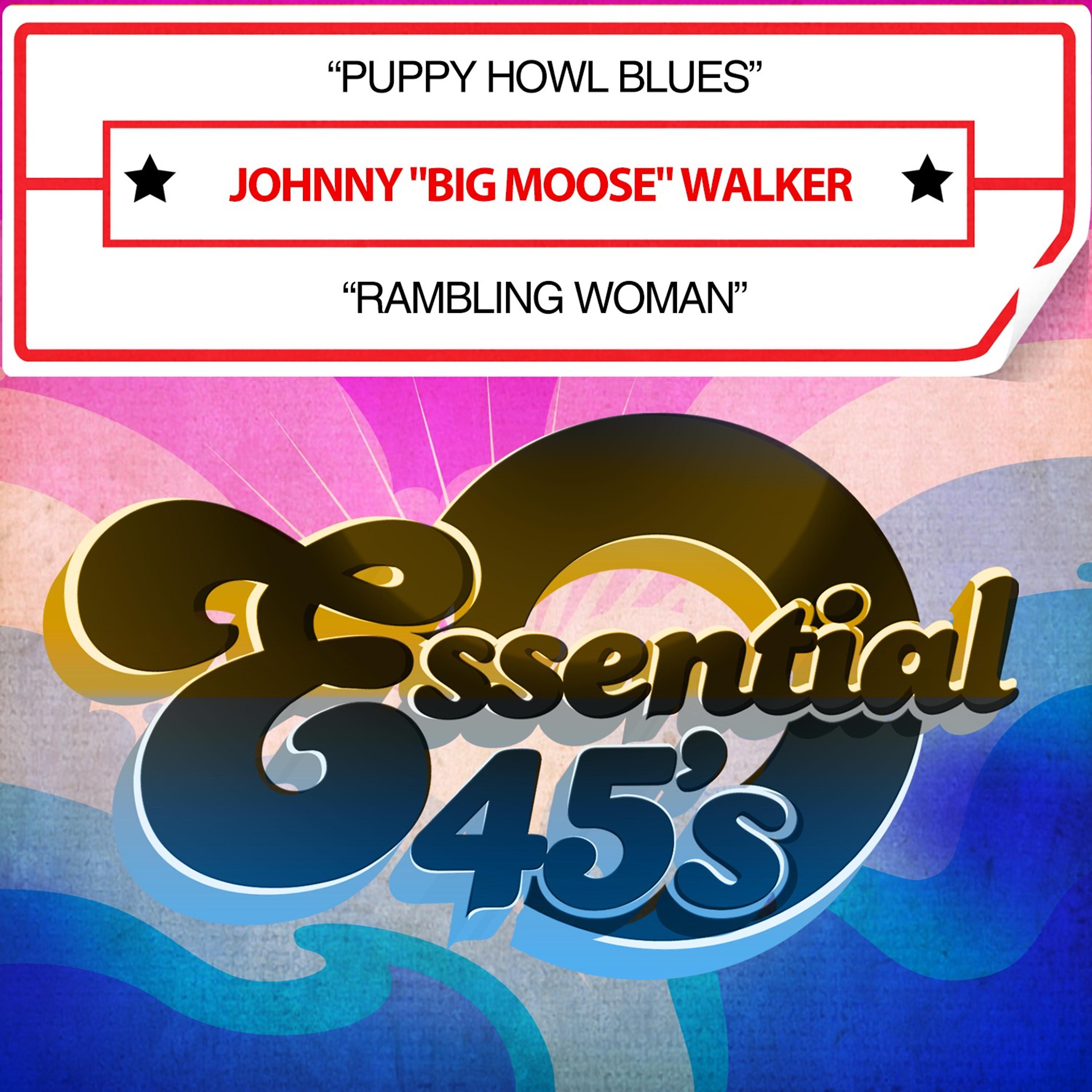 Постер альбома Puppy Howl Blues / Rambling Woman (Digital 45)