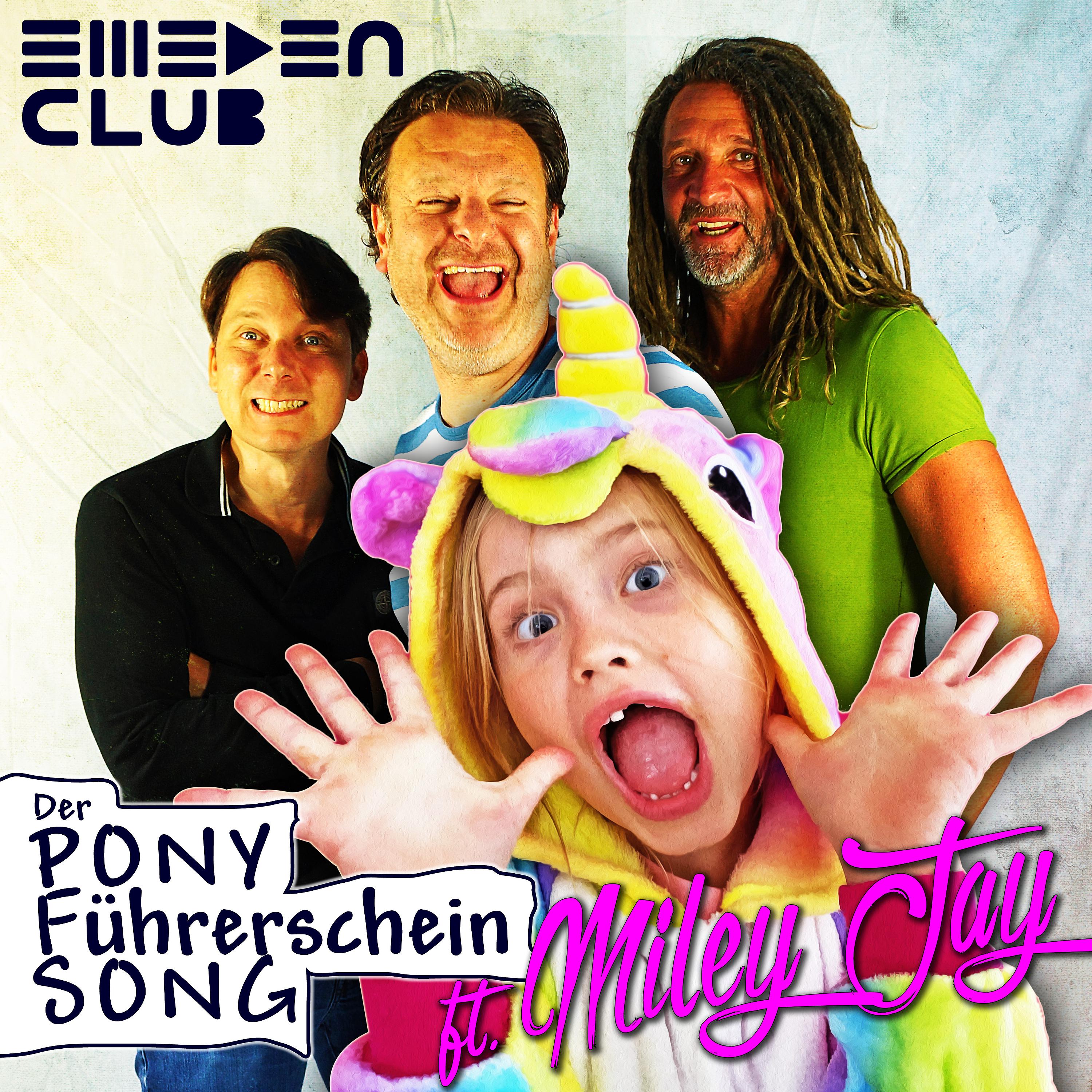 Постер альбома Pony-Führerschein Song