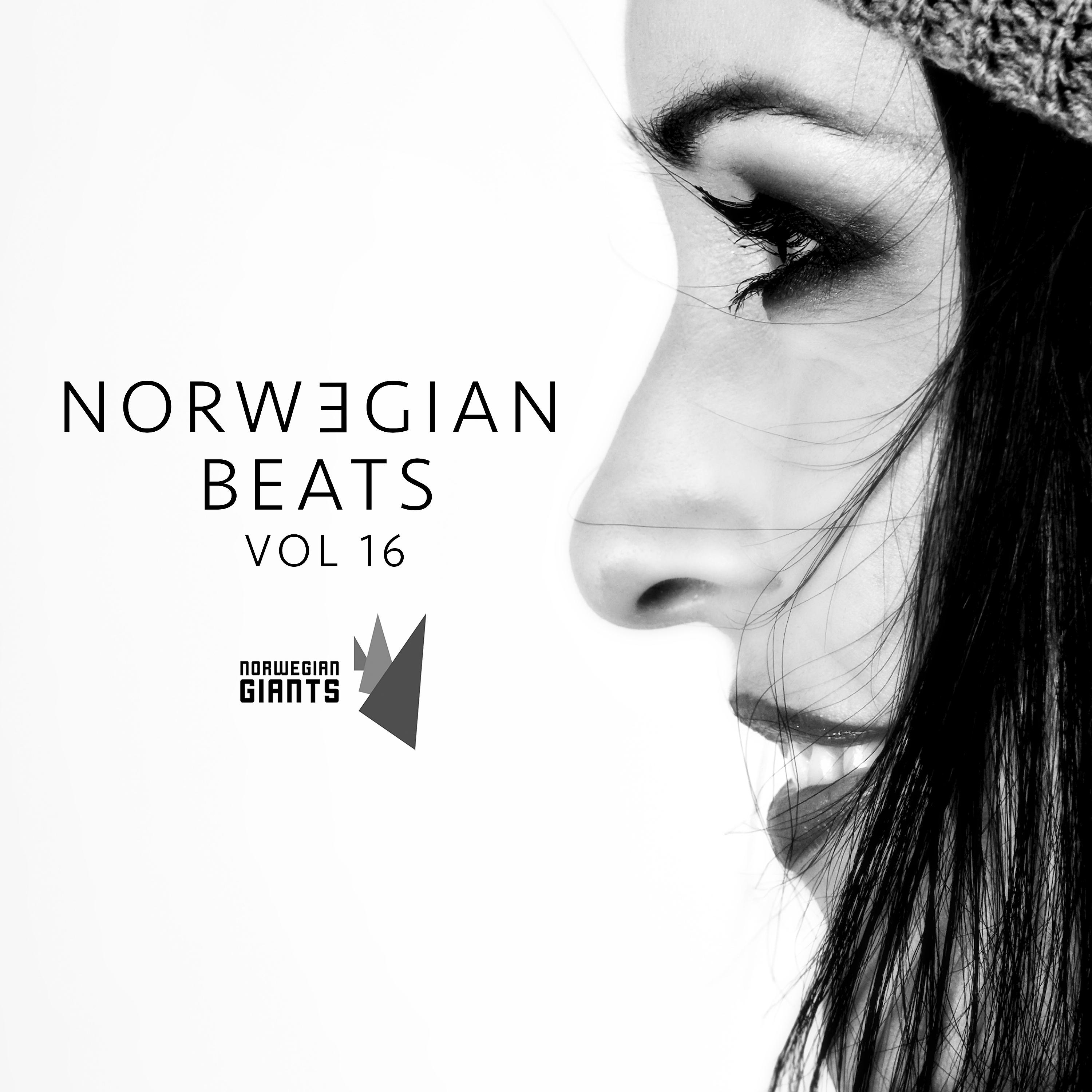 Постер альбома Norwegian Beats, Vol. 16