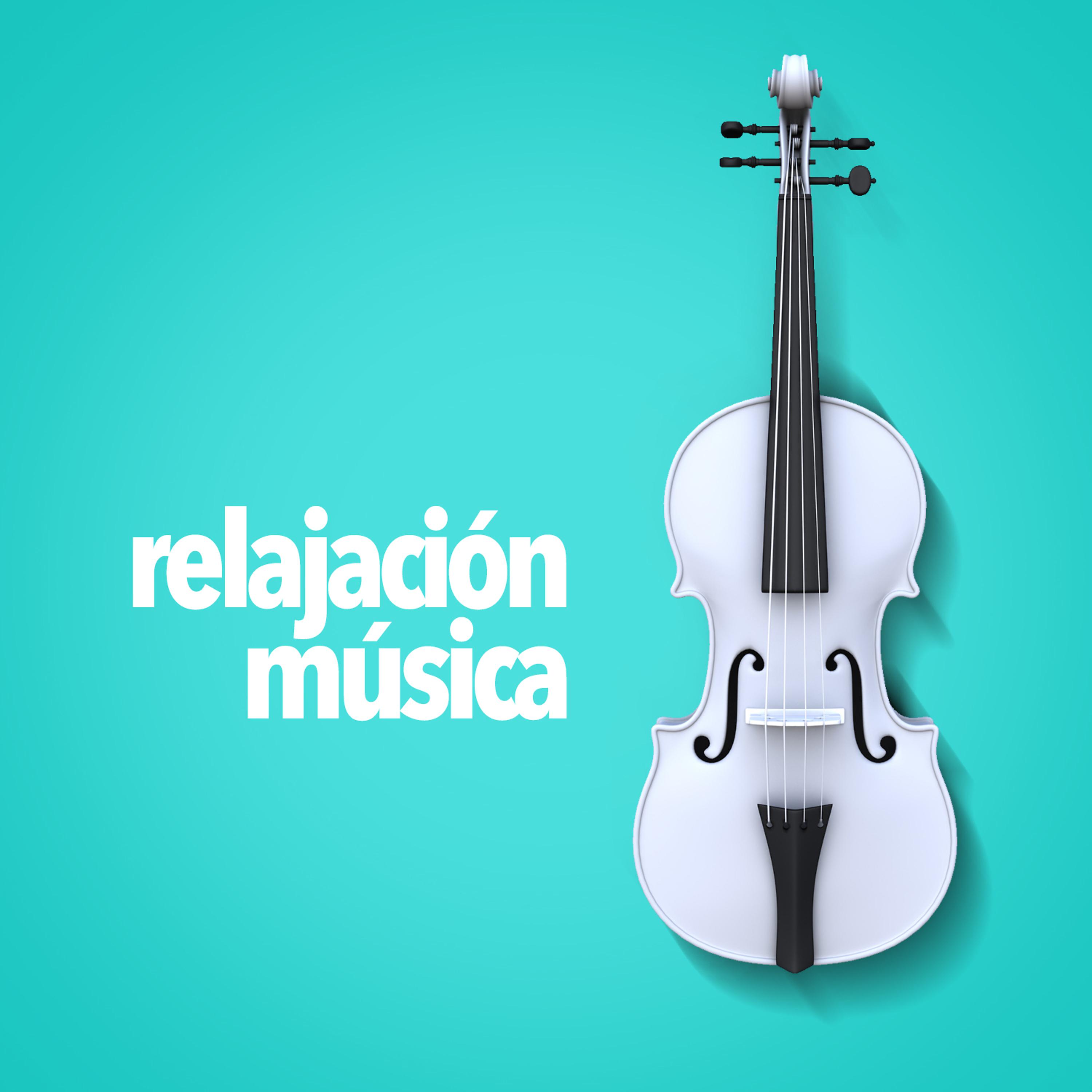Постер альбома Relajación Música