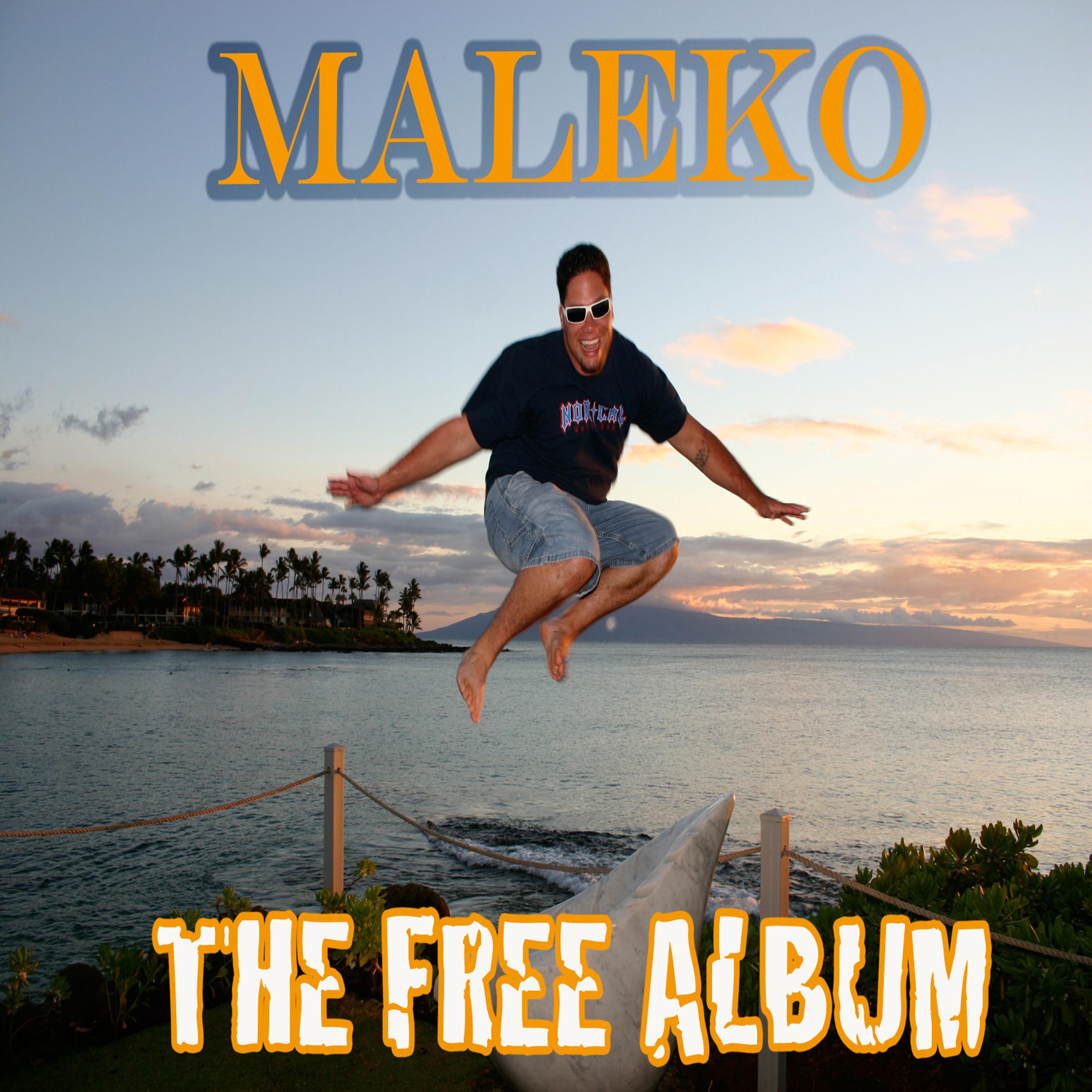 Постер альбома The Free Album