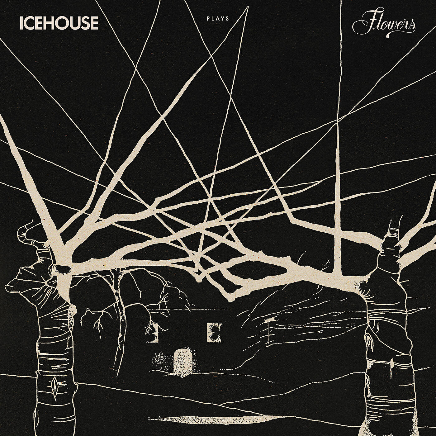 ICEHOUSE - Icehouse (Live At St Kilda Music Festival, 9th February 2020)