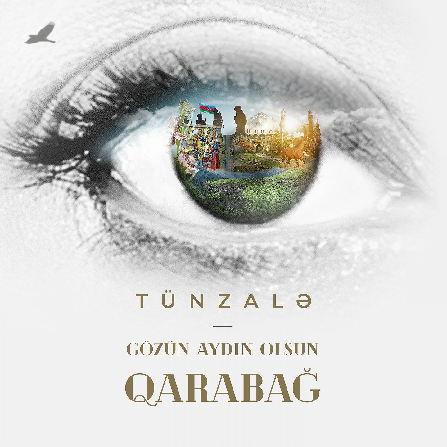 Постер альбома Gozun Aydin Olsun, Qarabag