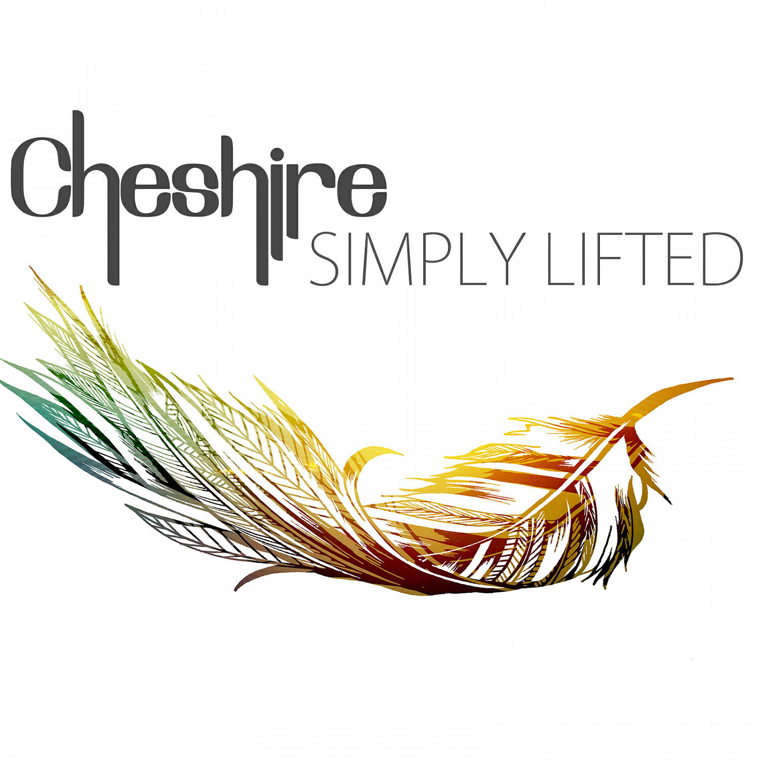Cheshire - Bird Song (feat. Blunt Instrument)
